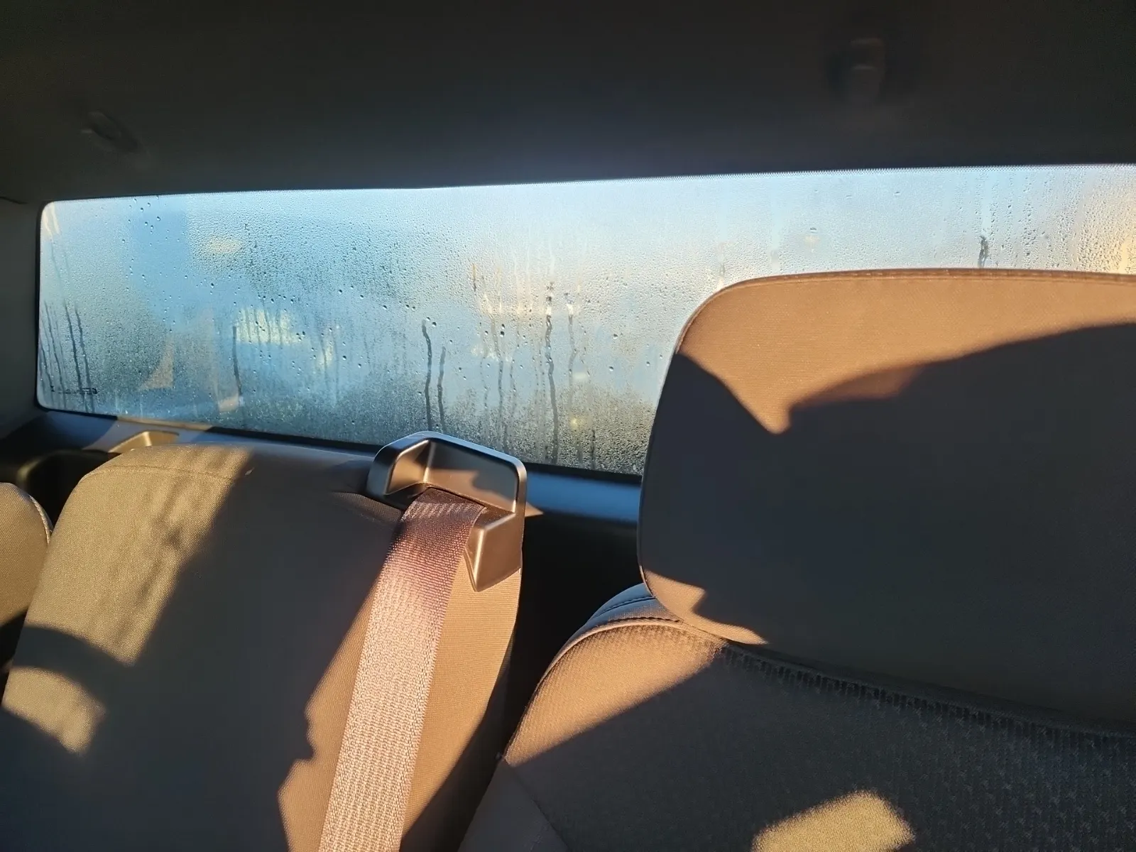 Rear Interior Photo