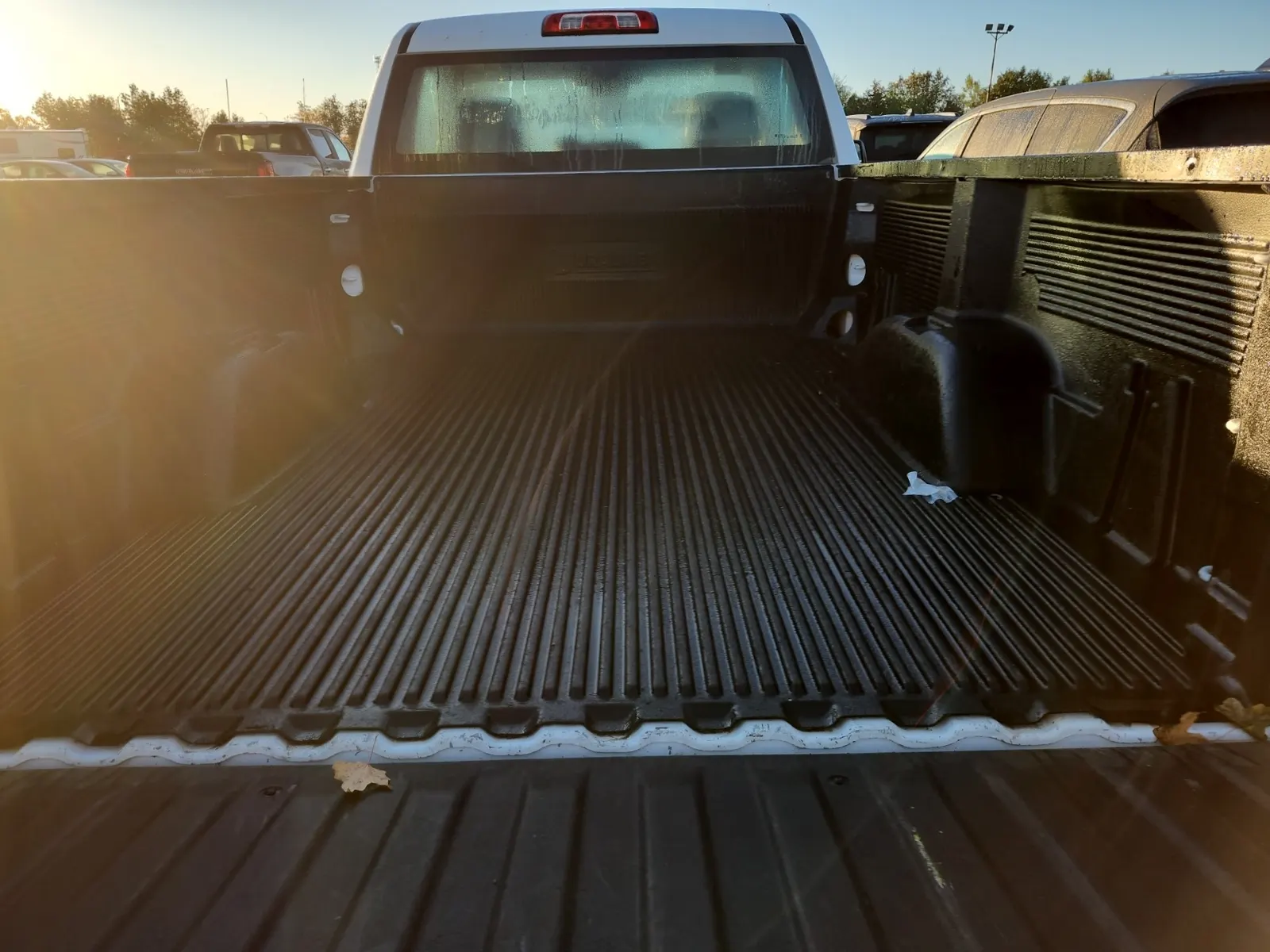 Cargo Area Photo
