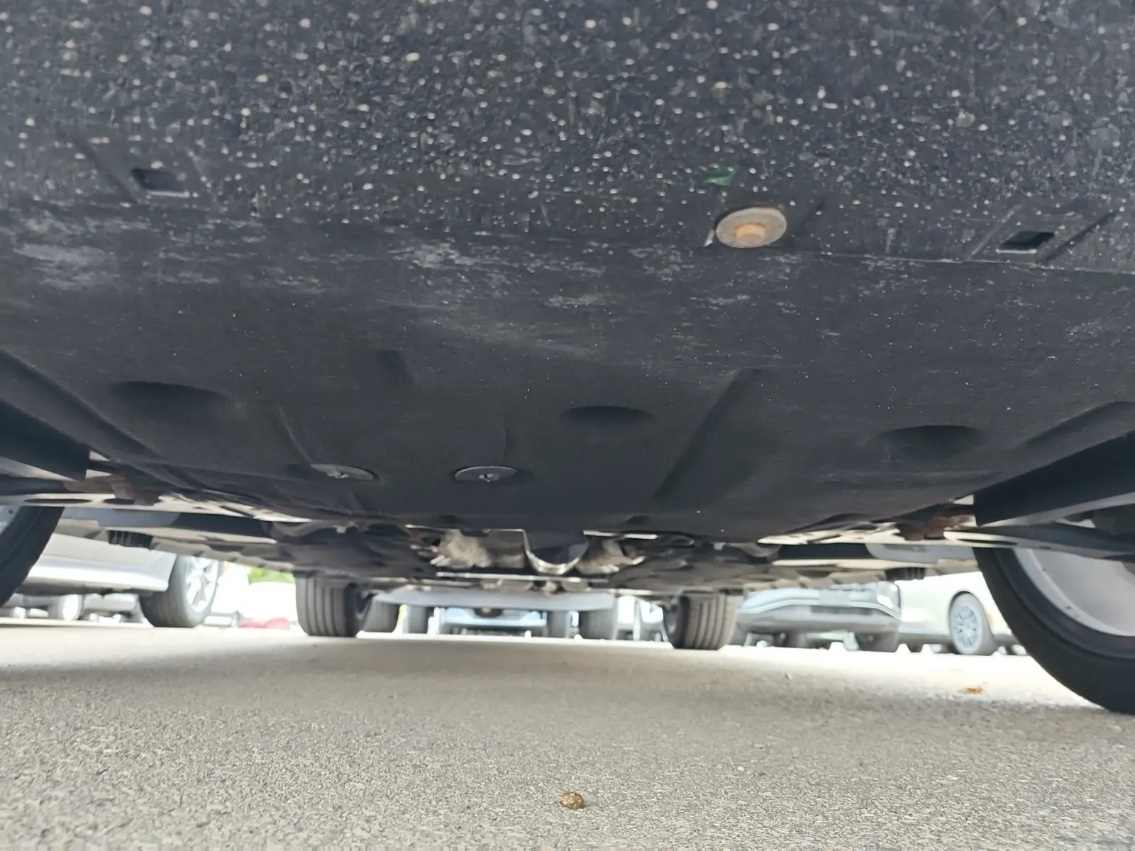 Undercarriage - Front Photo
