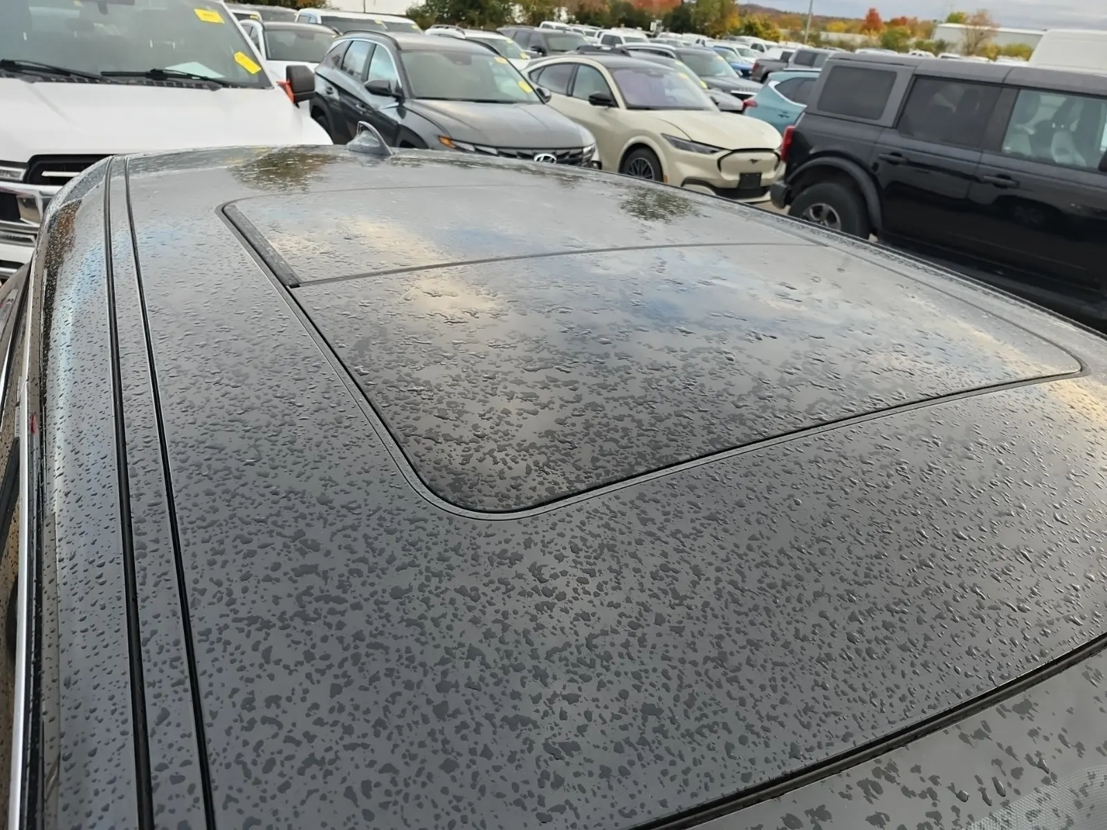 Exterior Roof Photo