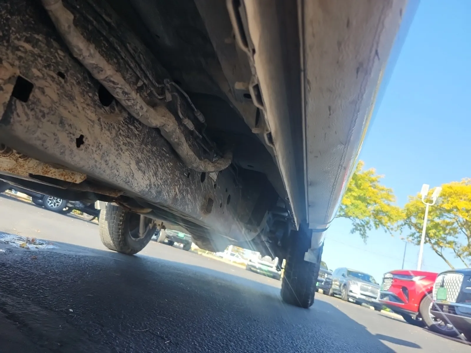 Undercarriage - Driver Photo