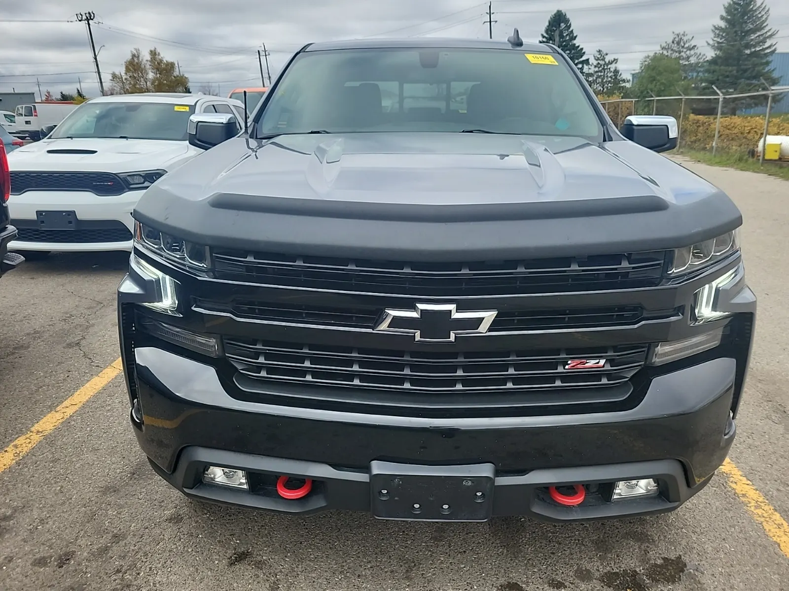Full Front Photo