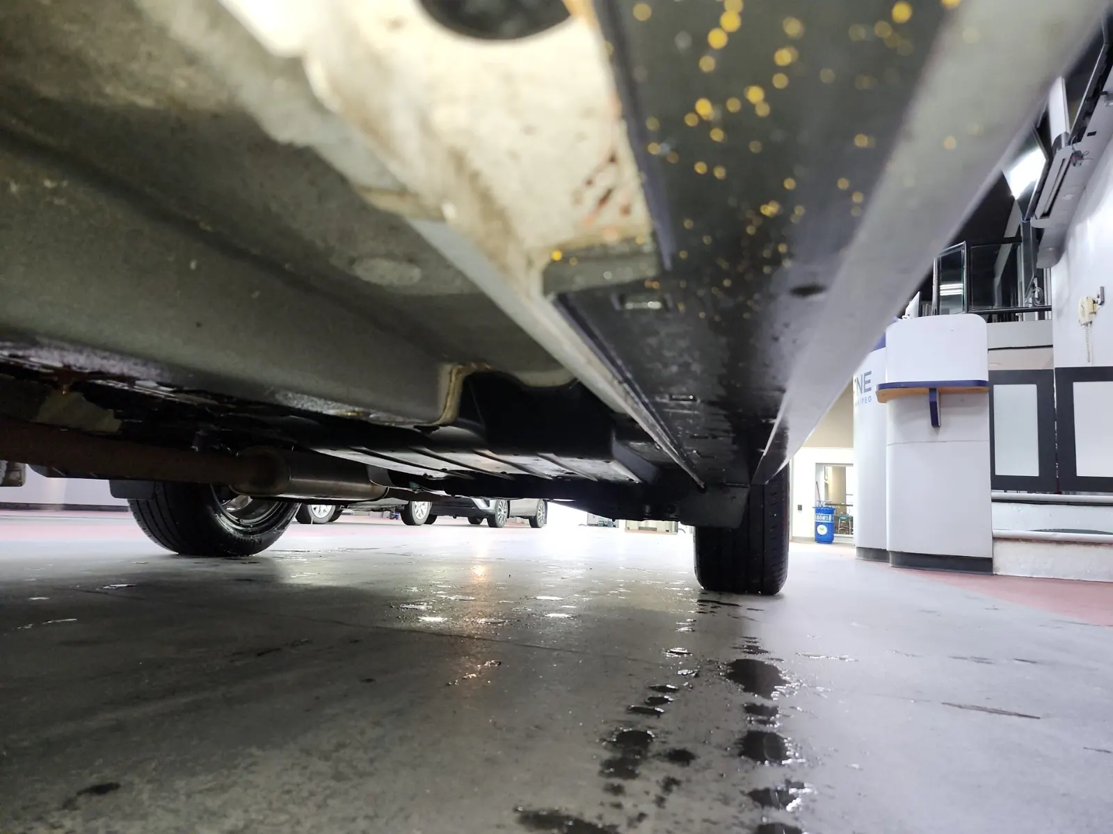 Undercarriage - Driver Photo