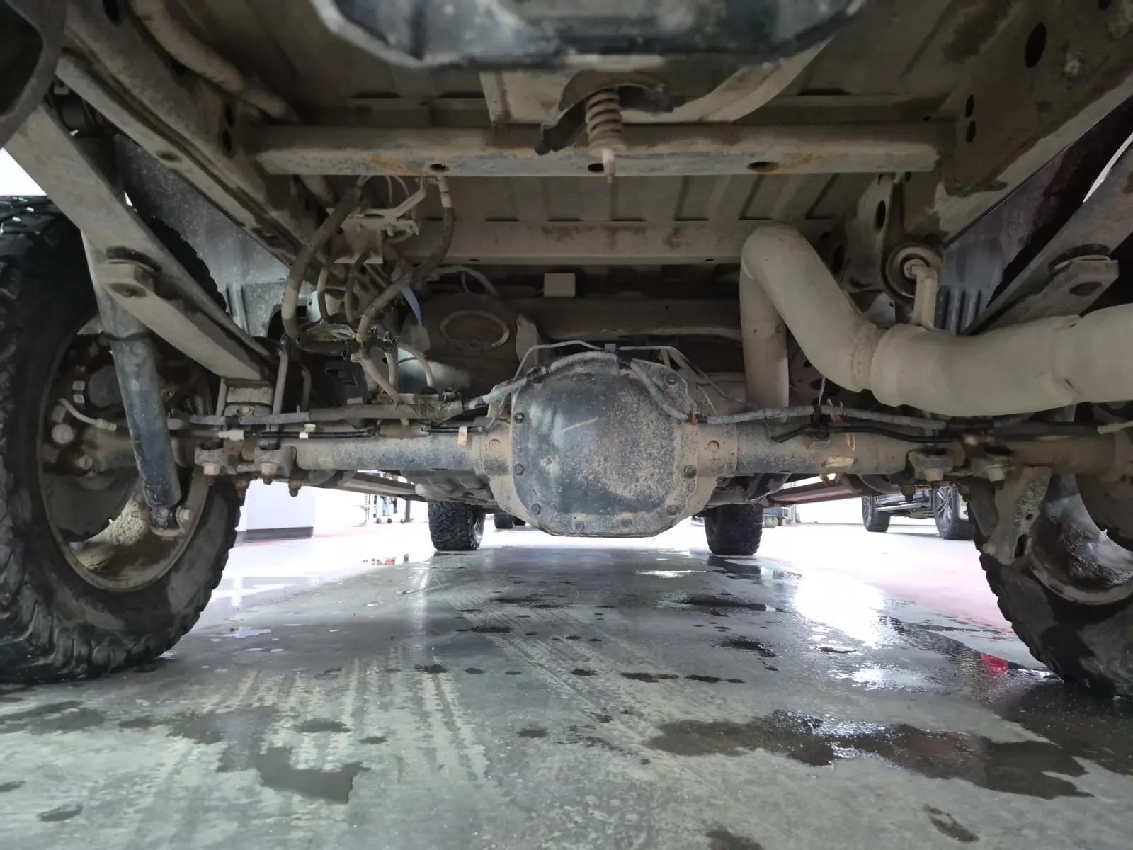 Undercarriage - Rear Photo
