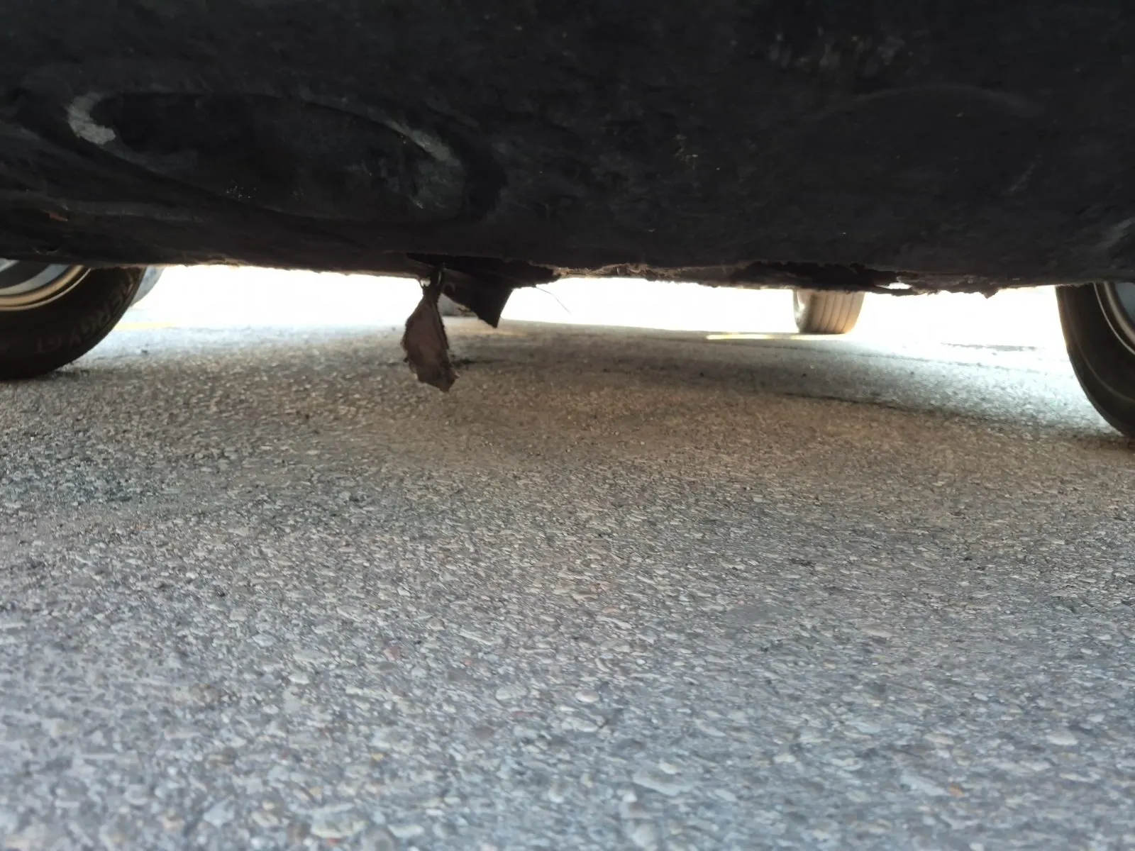 Undercarriage - Front Photo