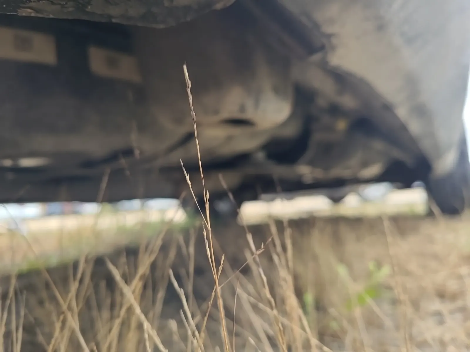 Undercarriage - Passenger Photo