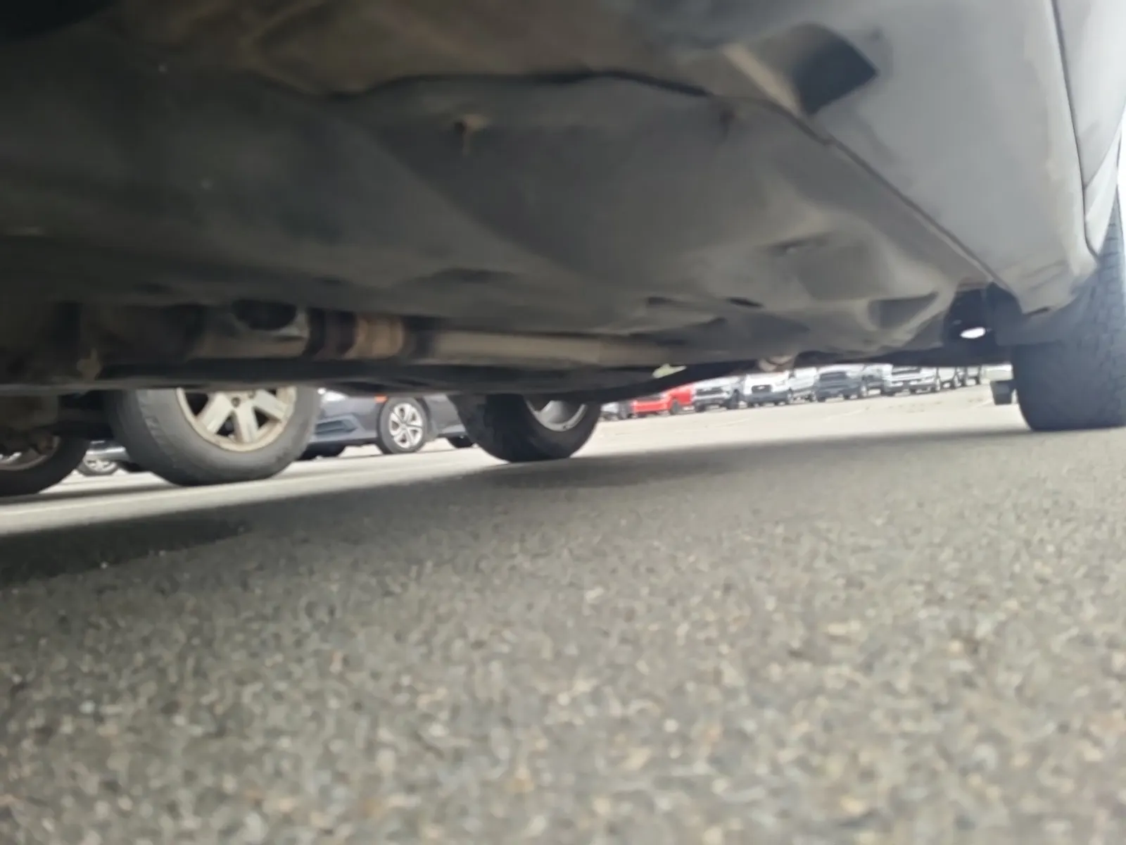 Undercarriage - Driver Photo