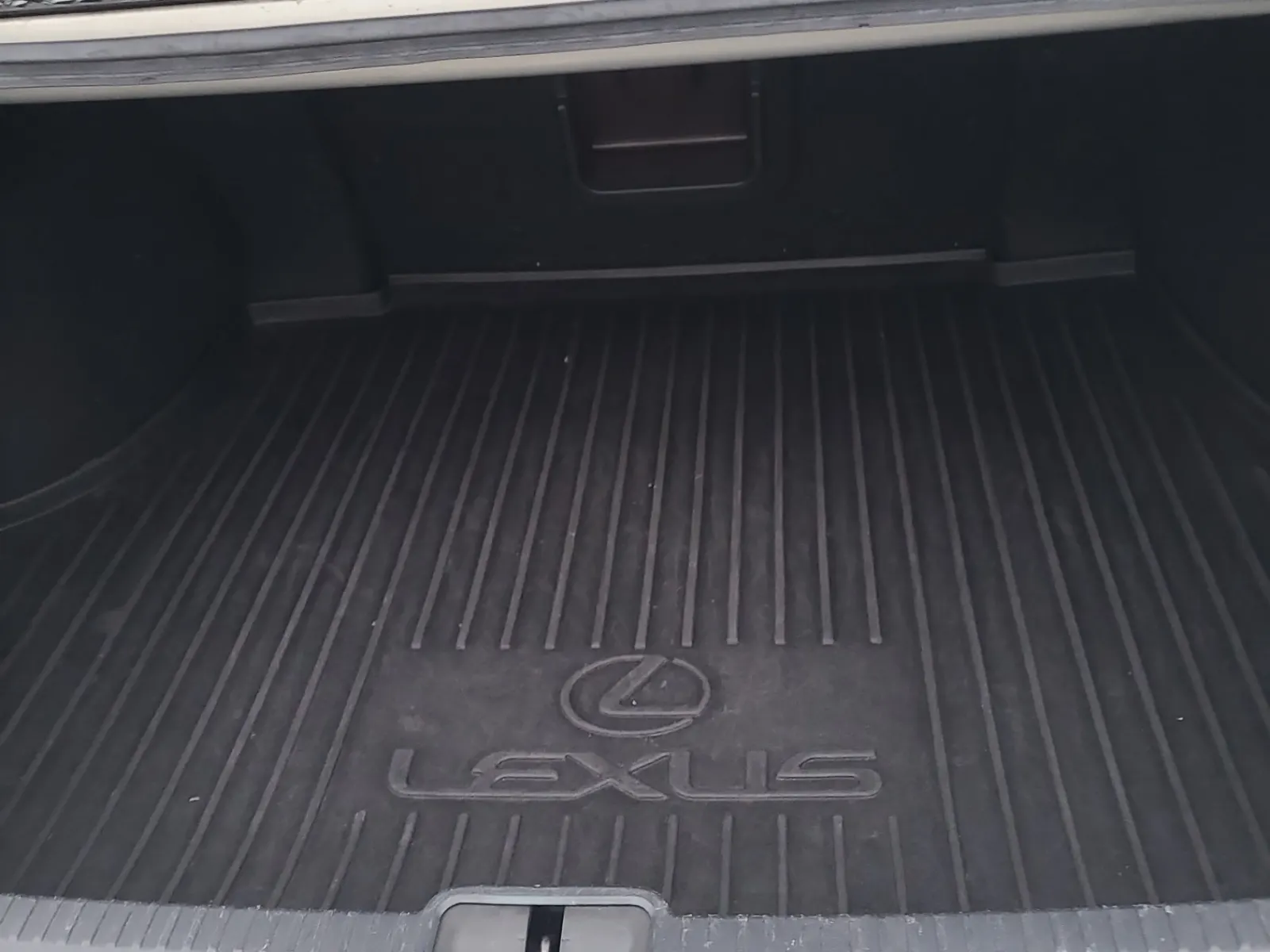 Cargo Area Photo