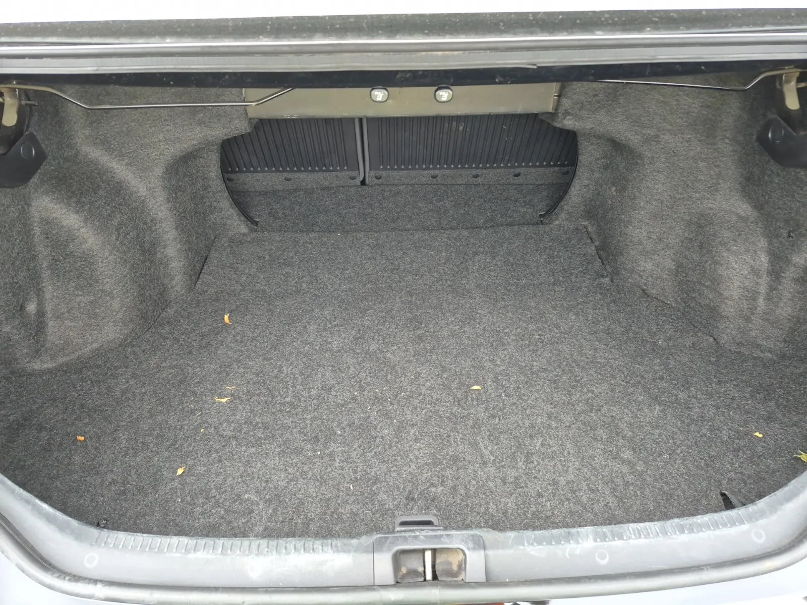 Cargo Area Photo
