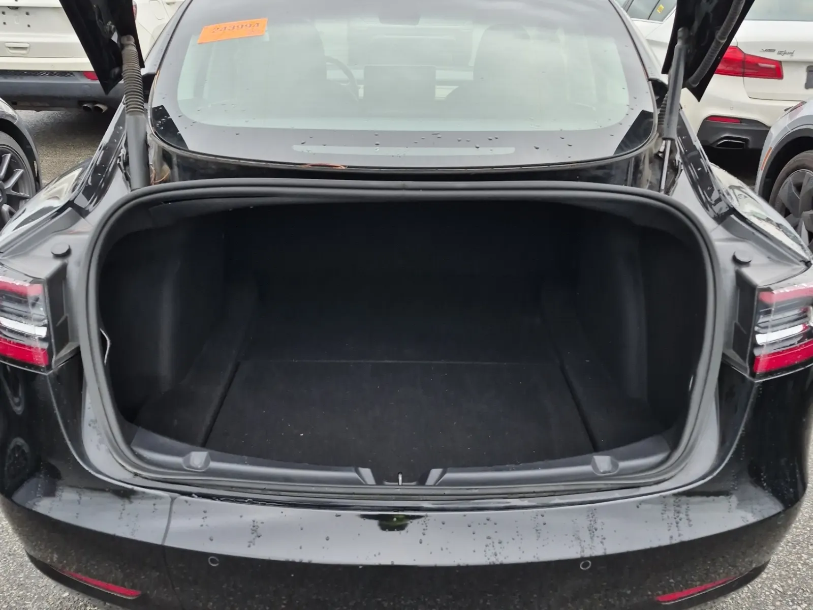 Cargo Area Photo