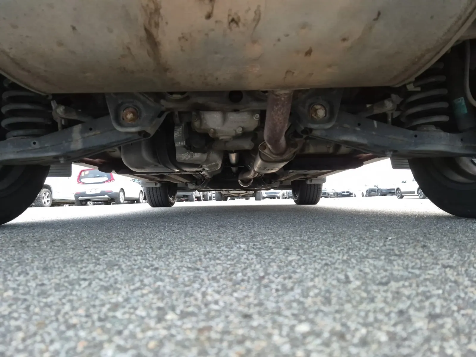 Undercarriage - Rear Photo
