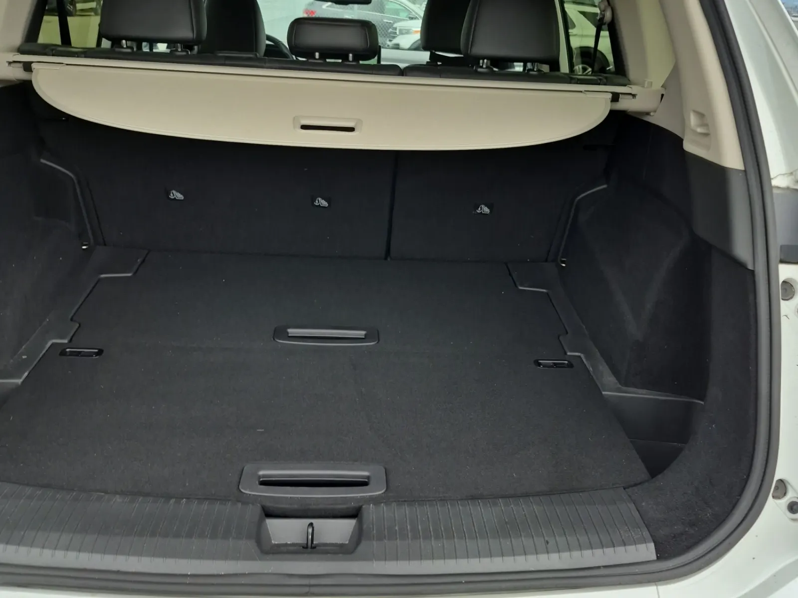 Cargo Area Photo