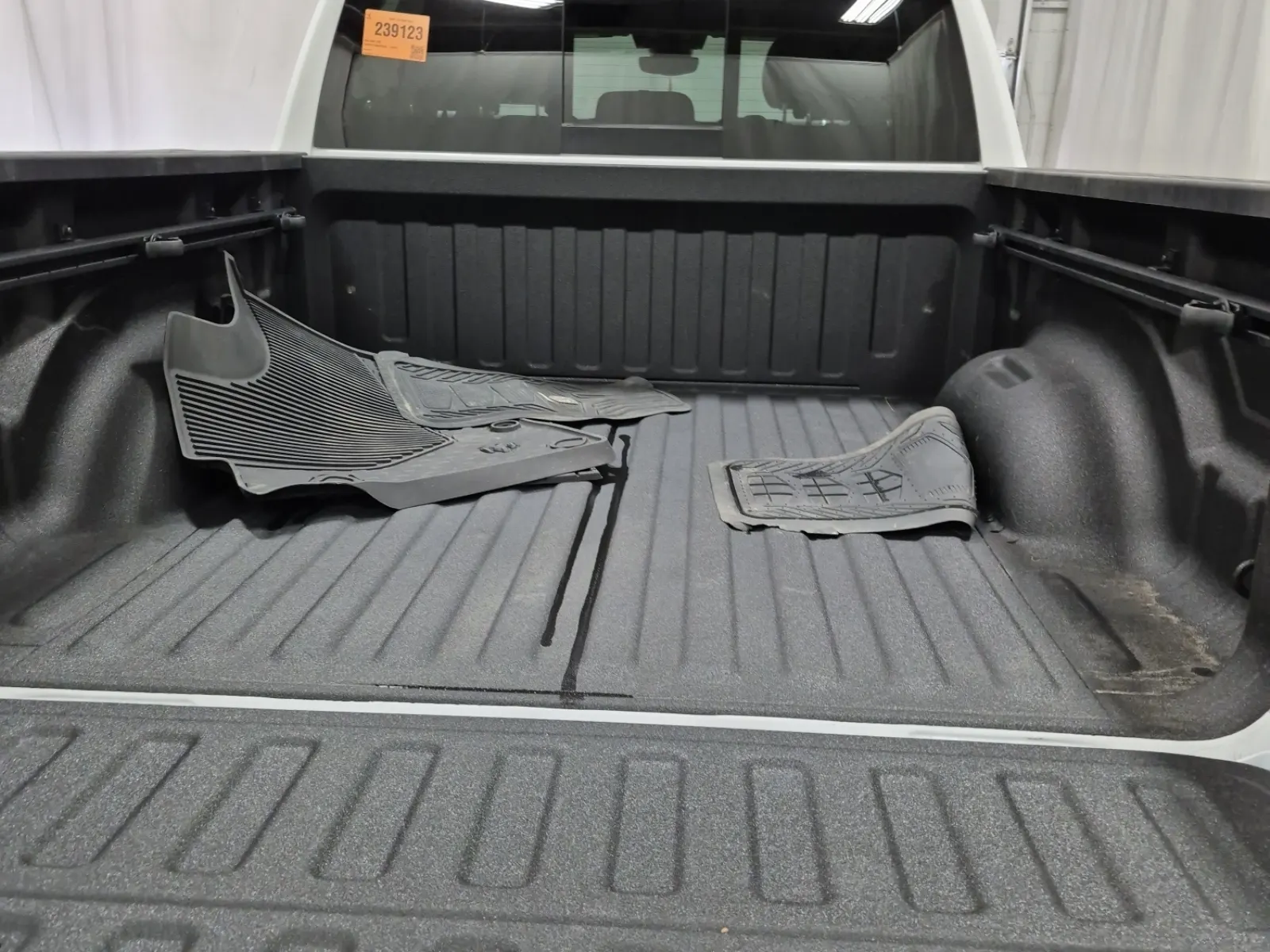 Cargo Area Photo