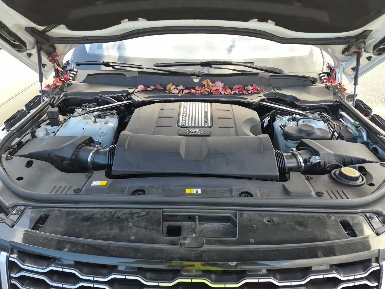 Engine Photo