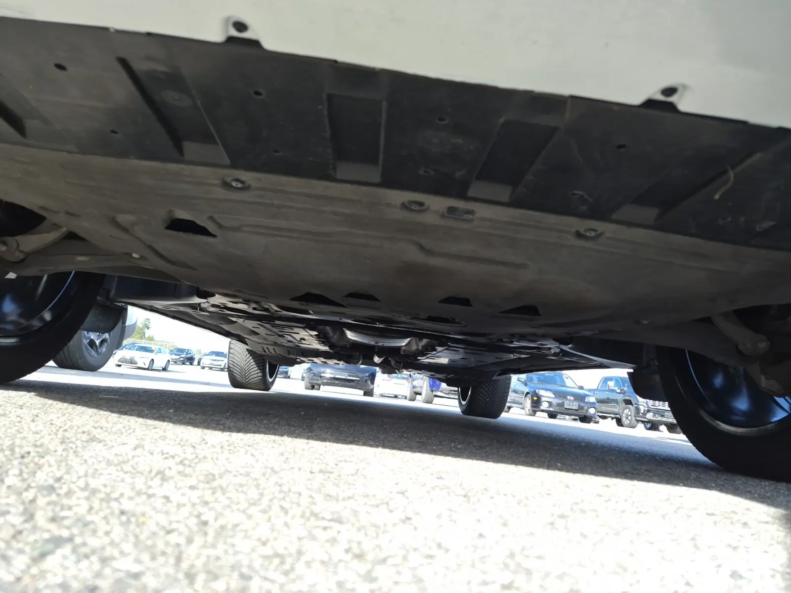 Undercarriage - Front Photo
