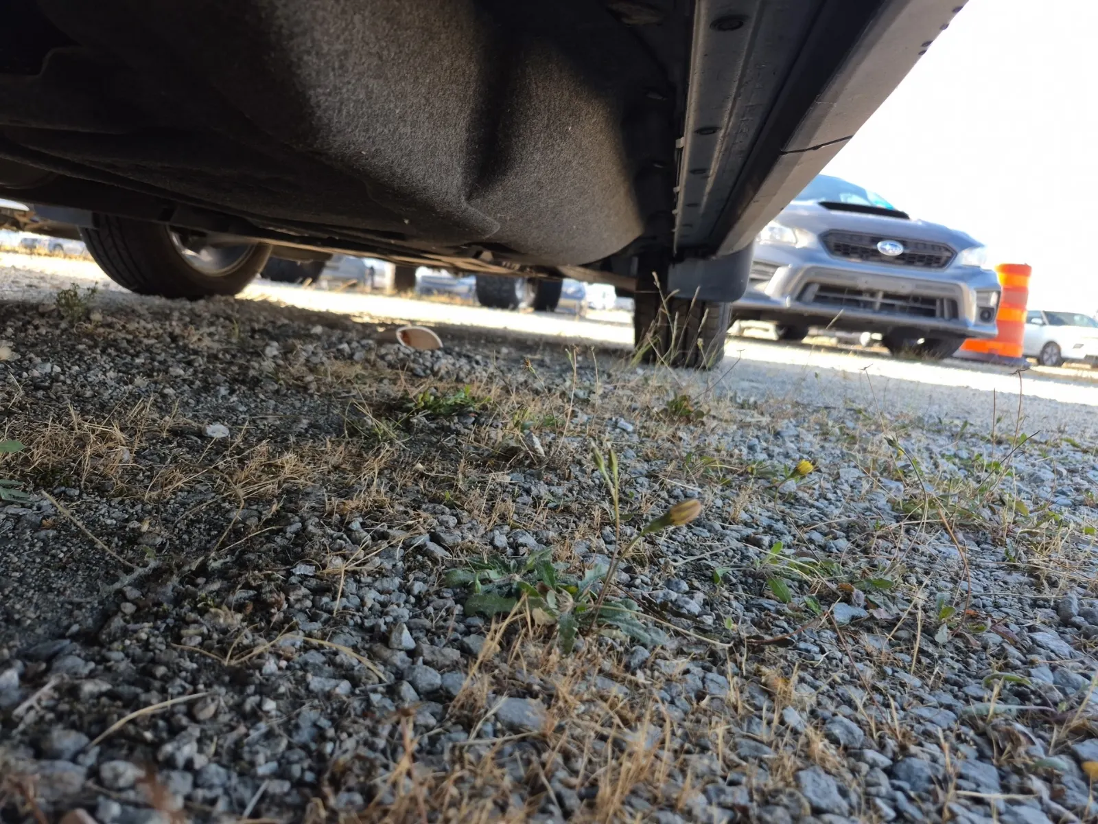 Undercarriage - Passenger Photo
