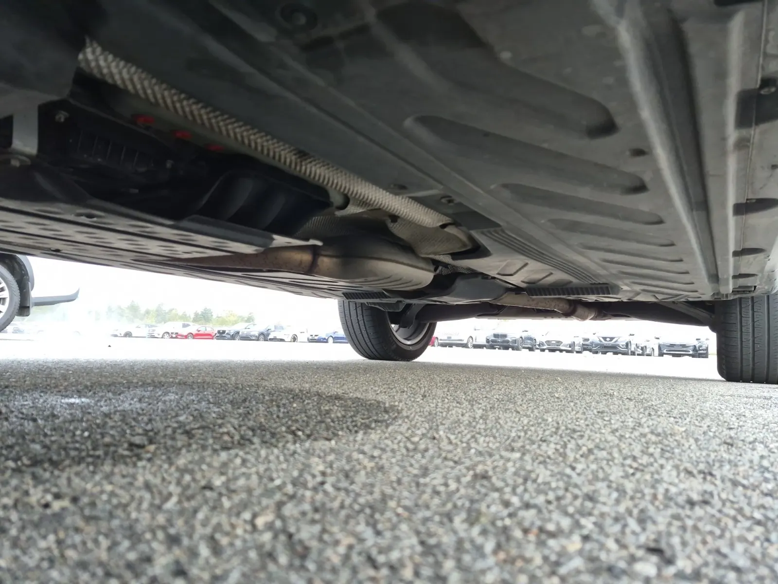 Undercarriage - Driver Photo