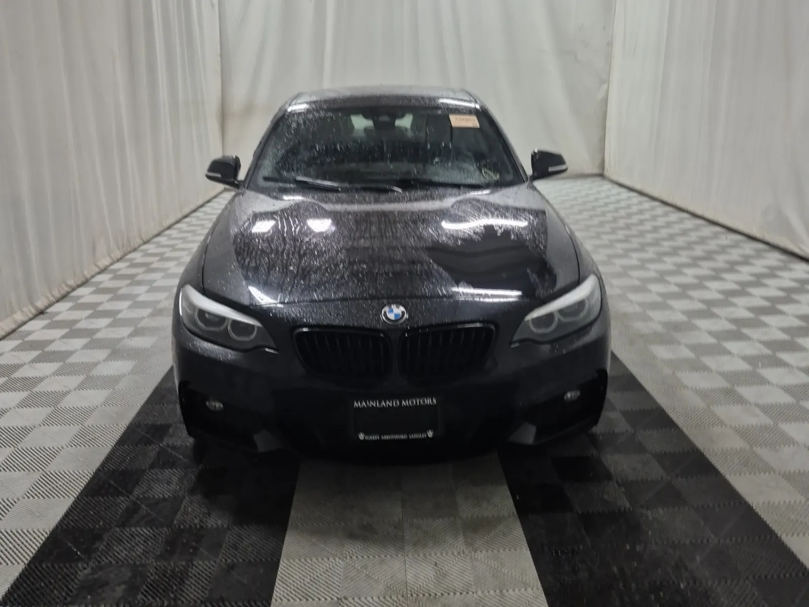 Full Front Photo
