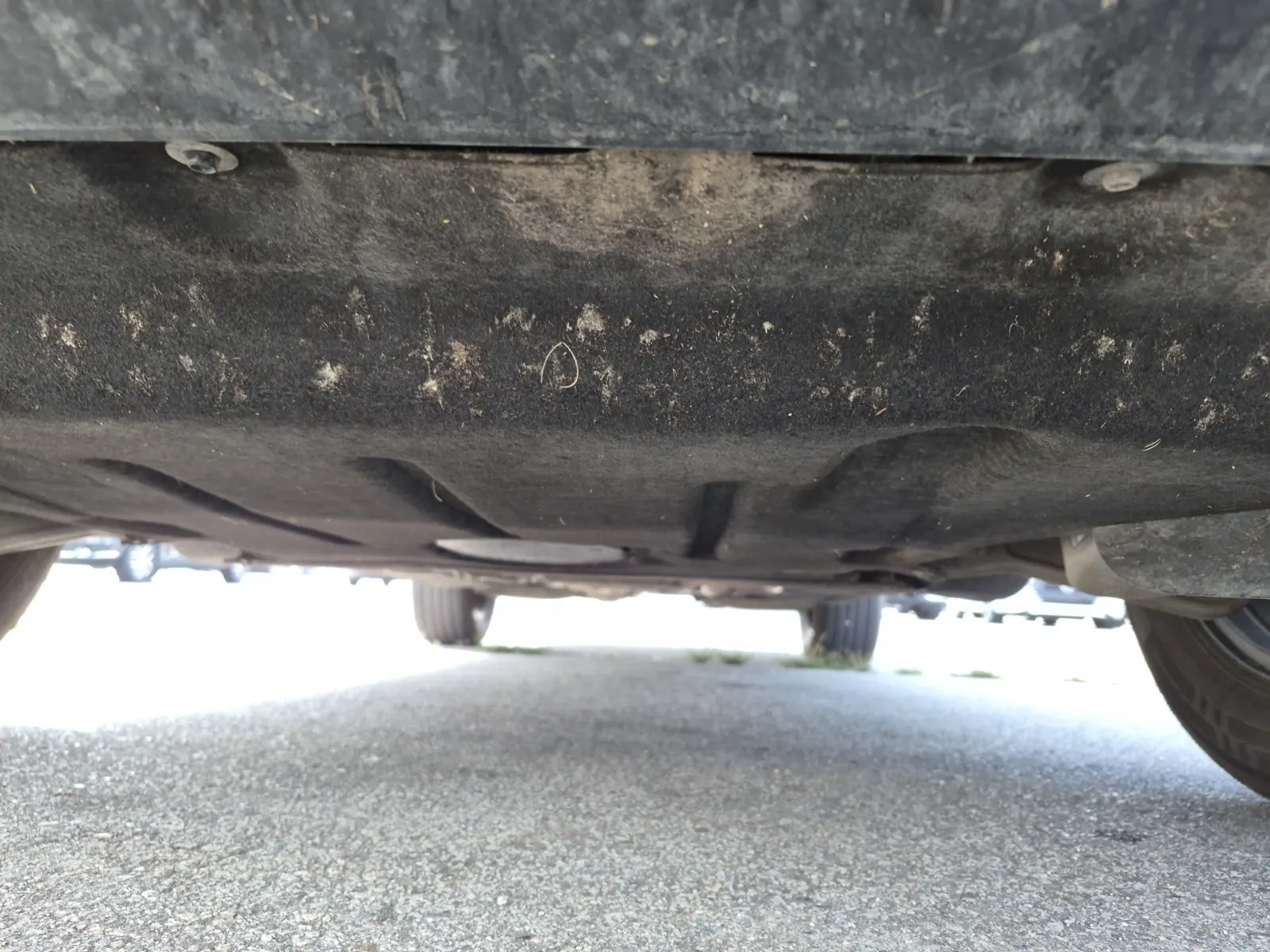 Undercarriage - Front Photo