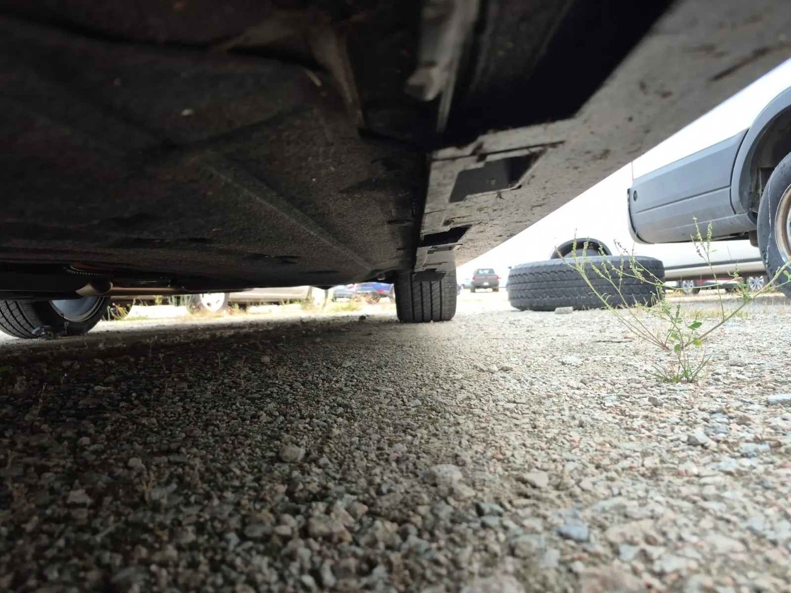 Undercarriage - Driver Photo