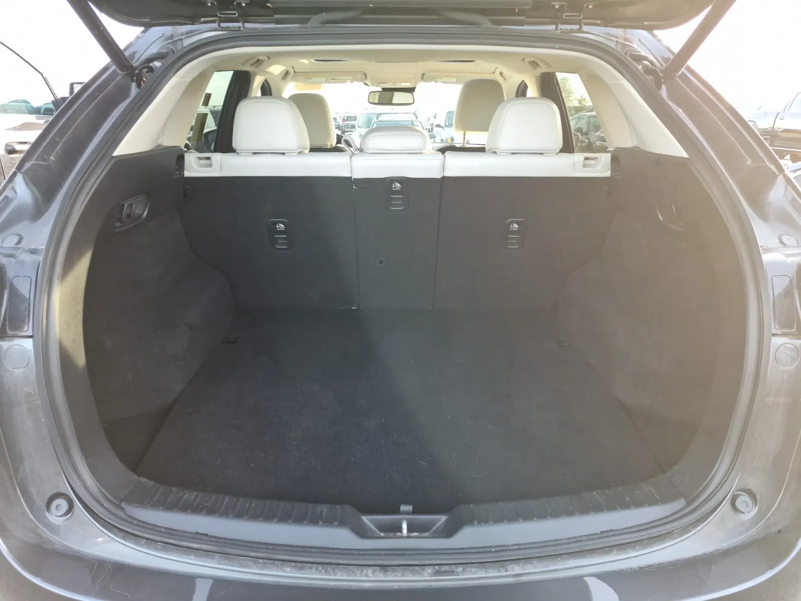 Cargo Area Photo