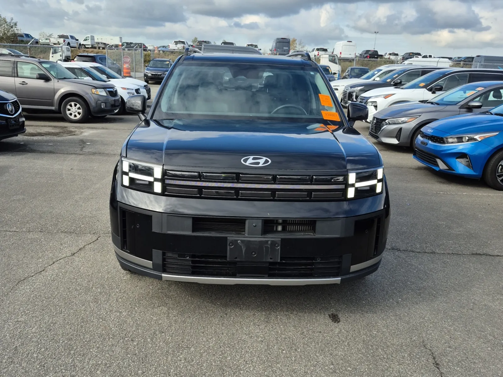 Full Front Photo