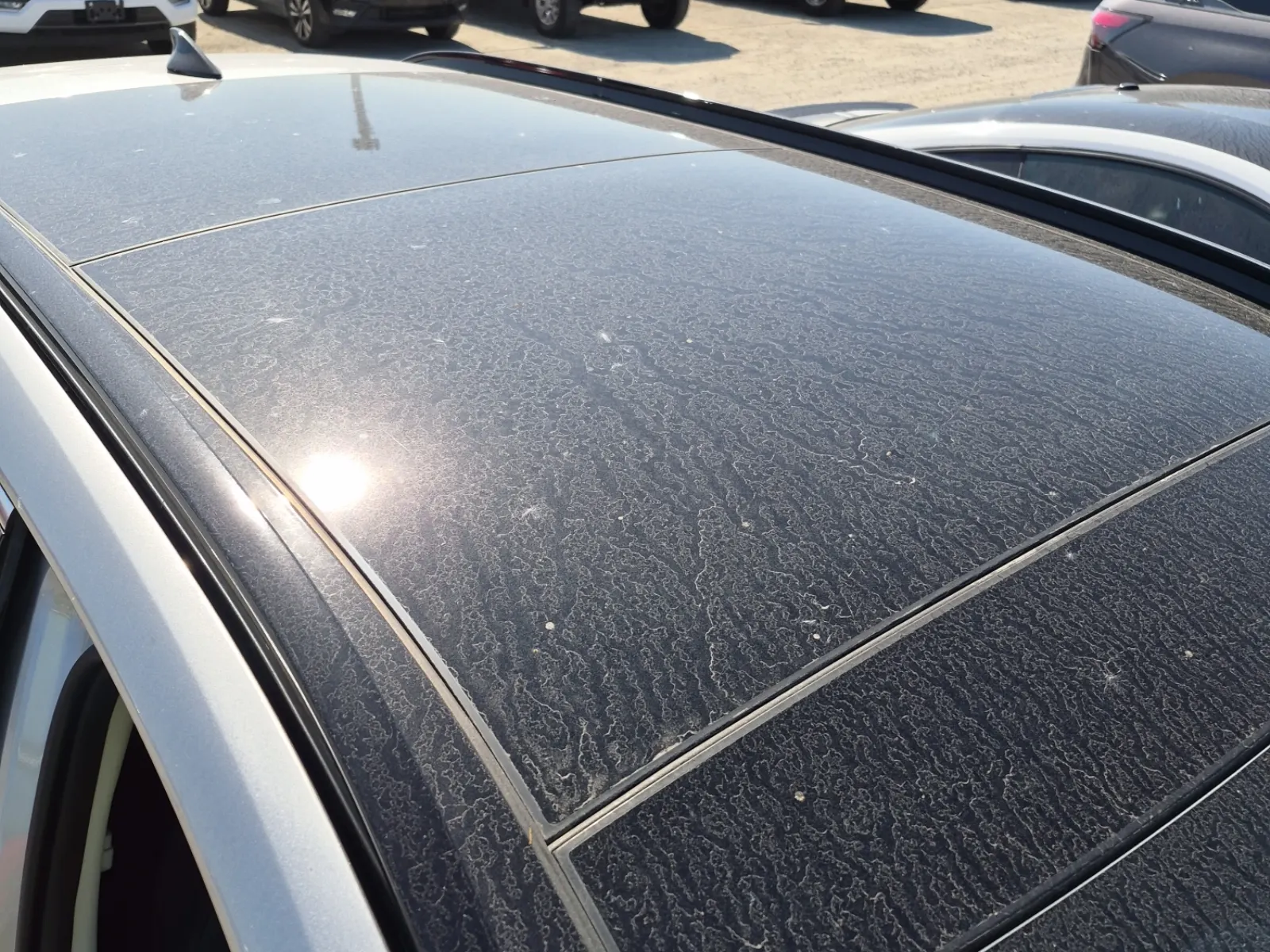 Exterior Roof Photo