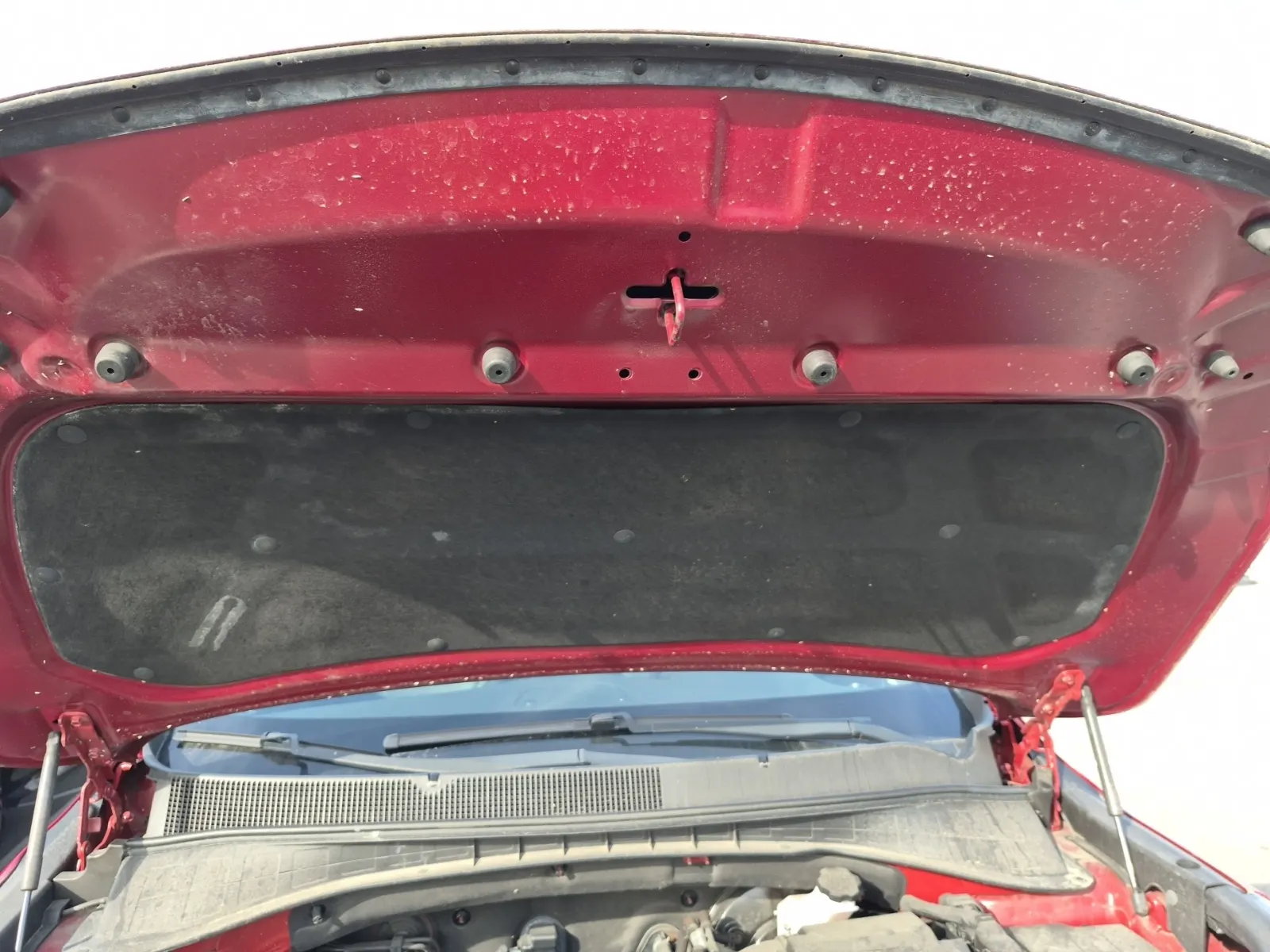 Emission Sticker Photo