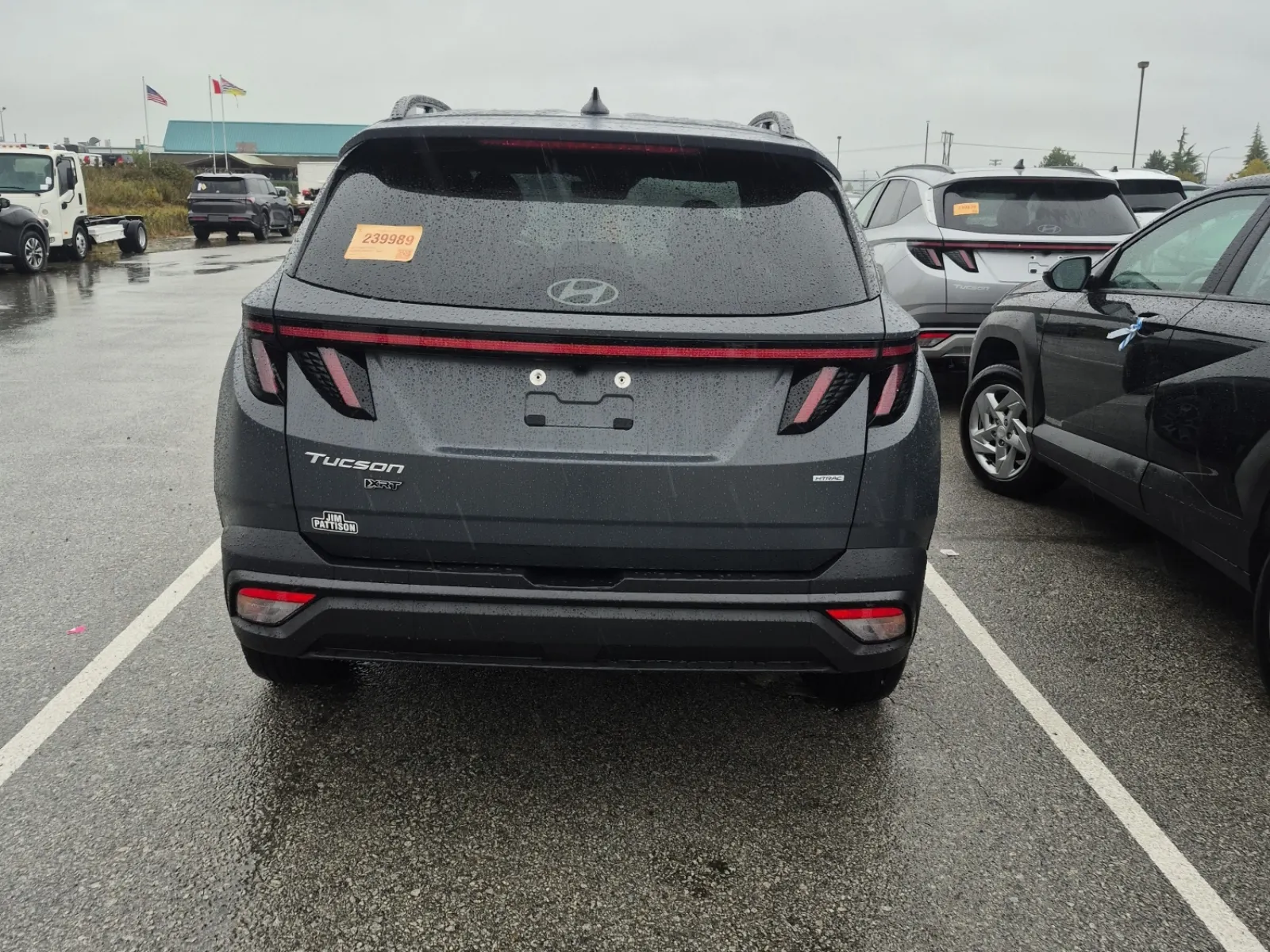 Full Rear Photo