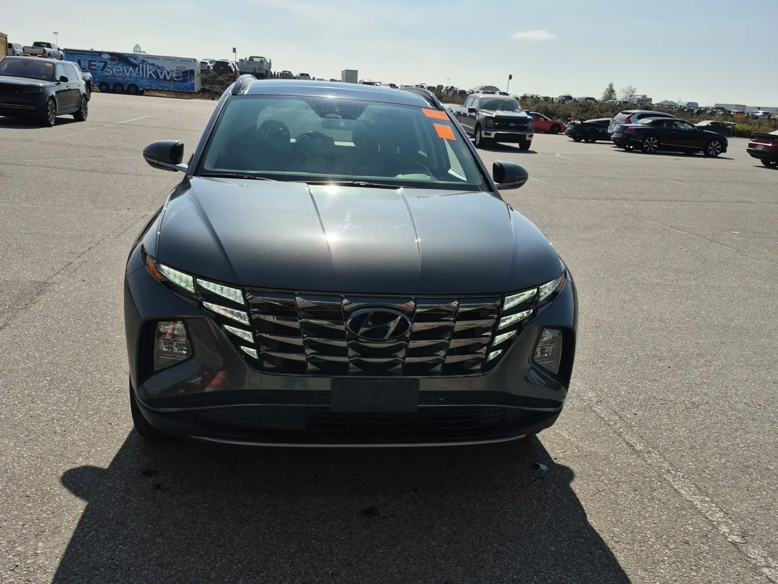 Full Front Photo