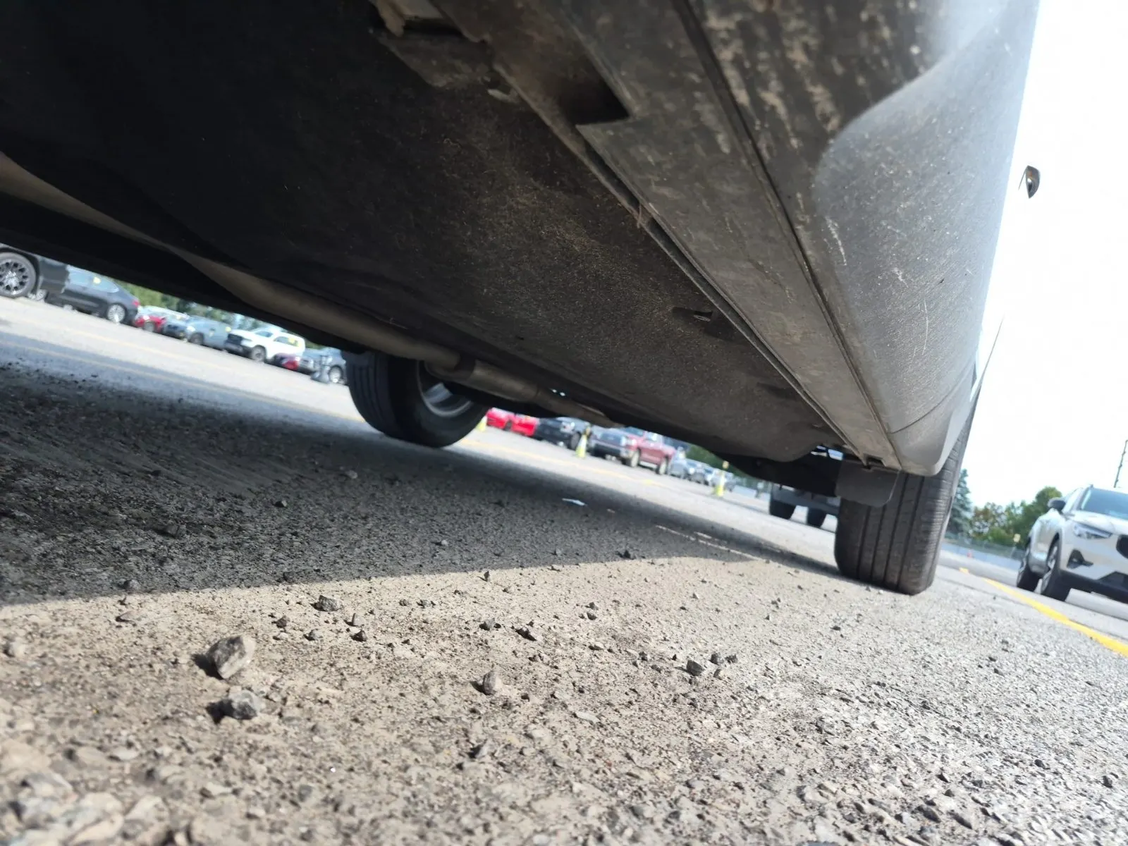 Undercarriage - Driver Photo