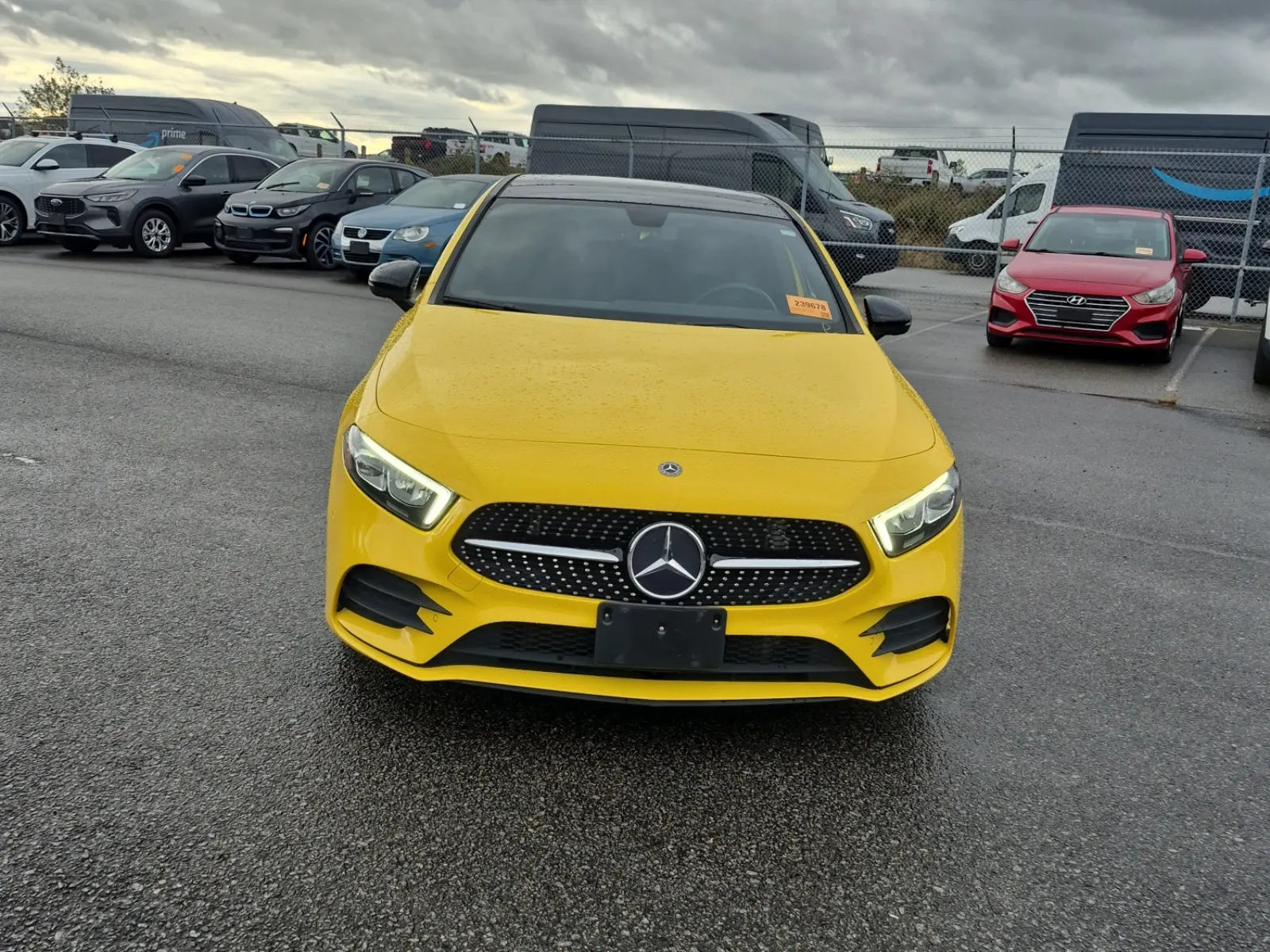 Full Front Photo