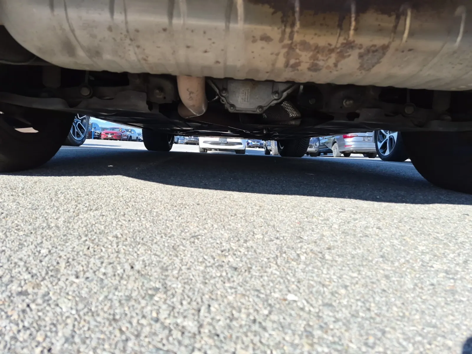 Undercarriage - Rear Photo