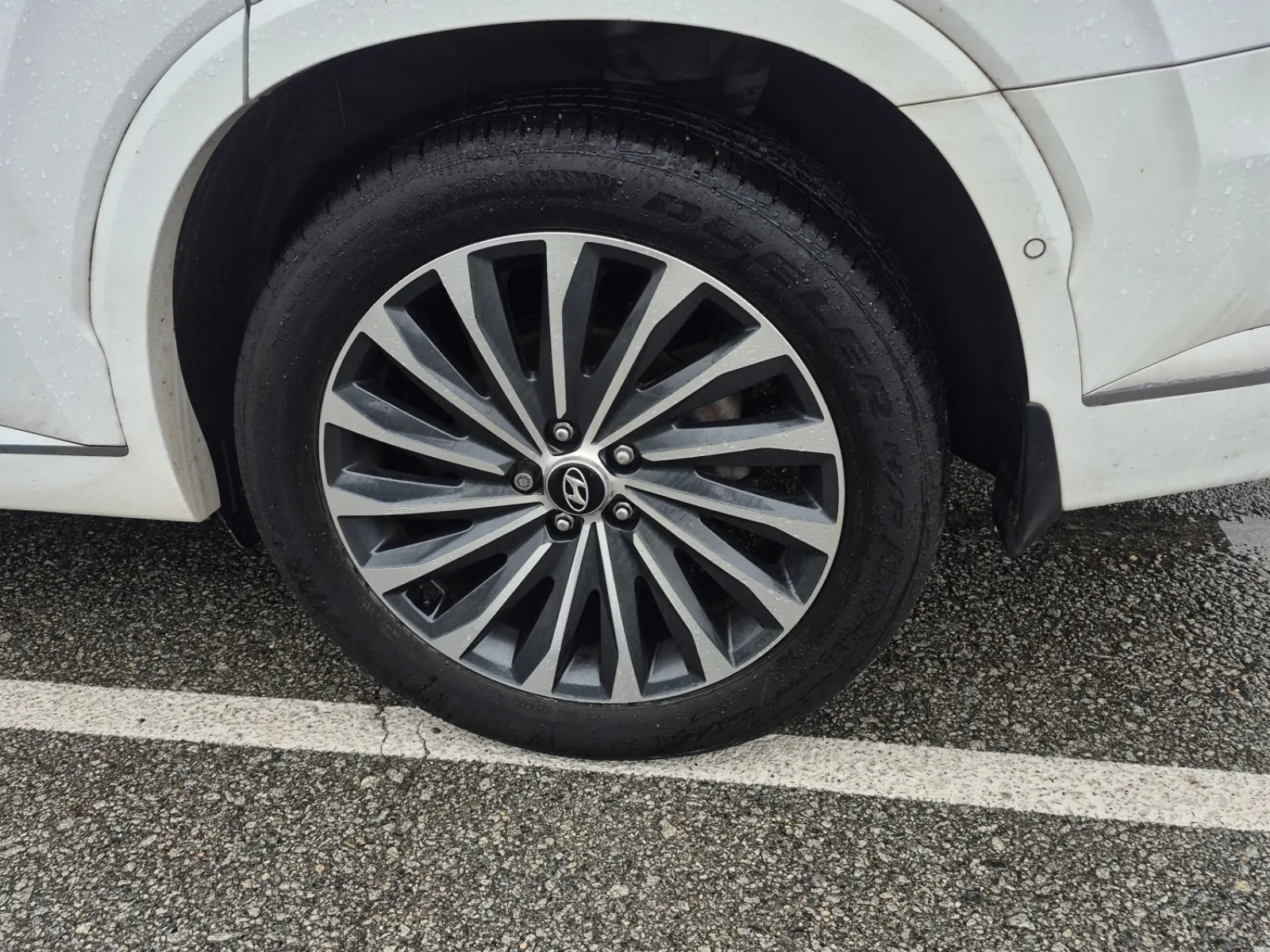 Left Rear Wheel/Tire Photo