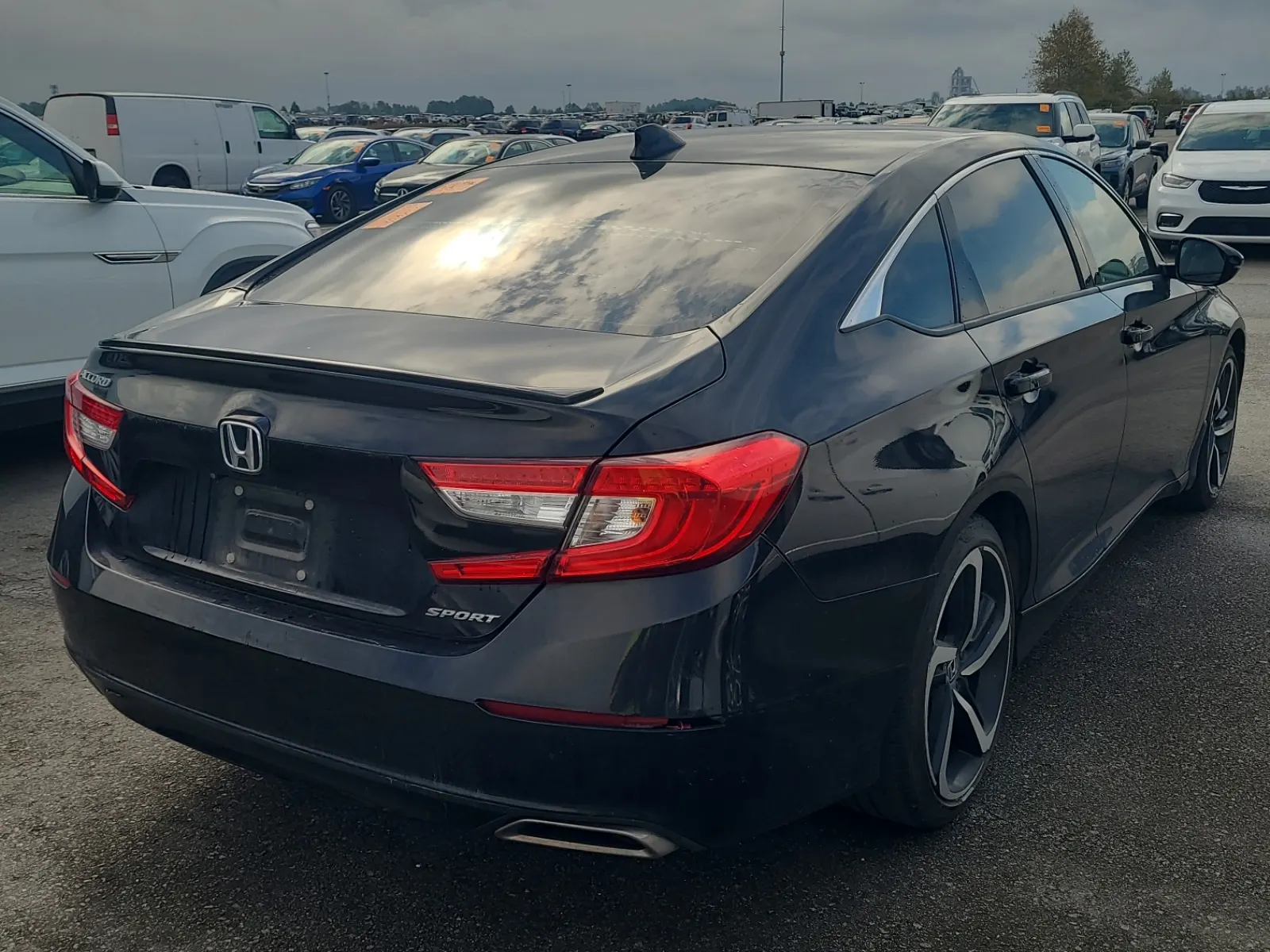 Passenger Rear 3/4 Photo