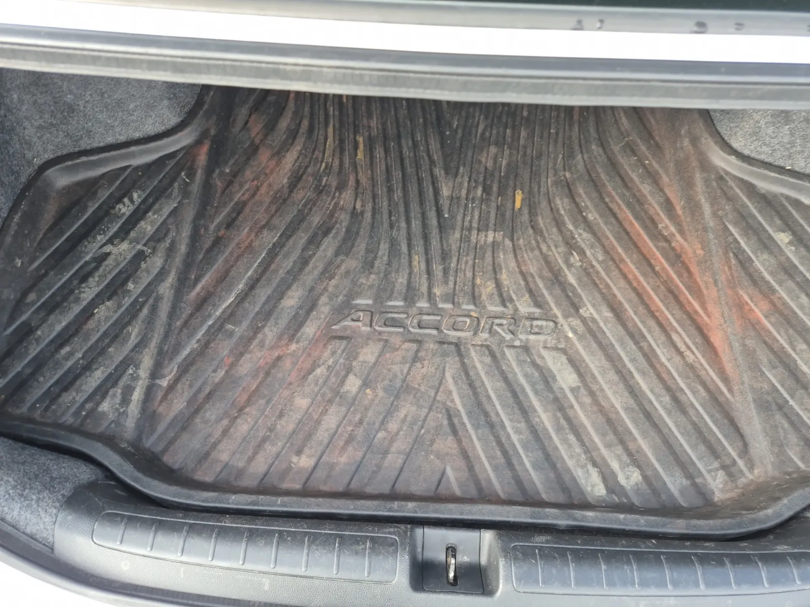 Cargo Area Photo