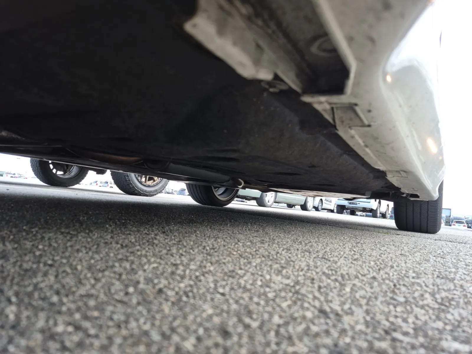 Undercarriage - Driver Photo
