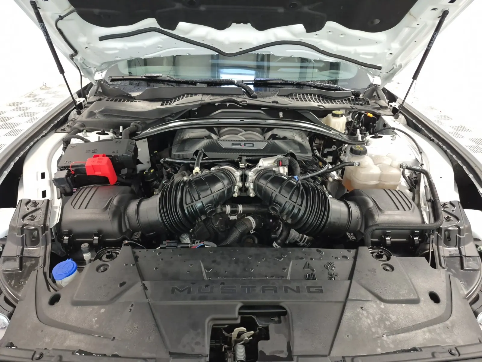 Engine Photo