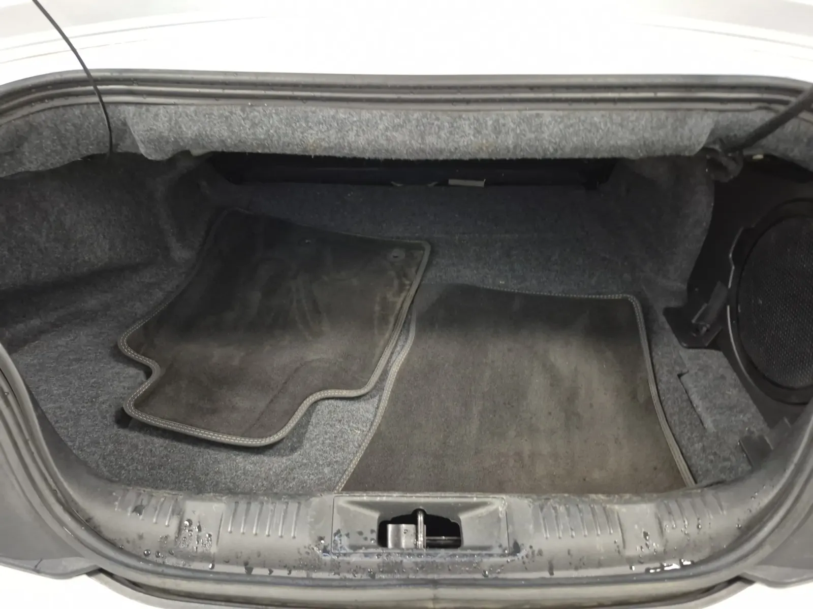 Cargo Area Photo