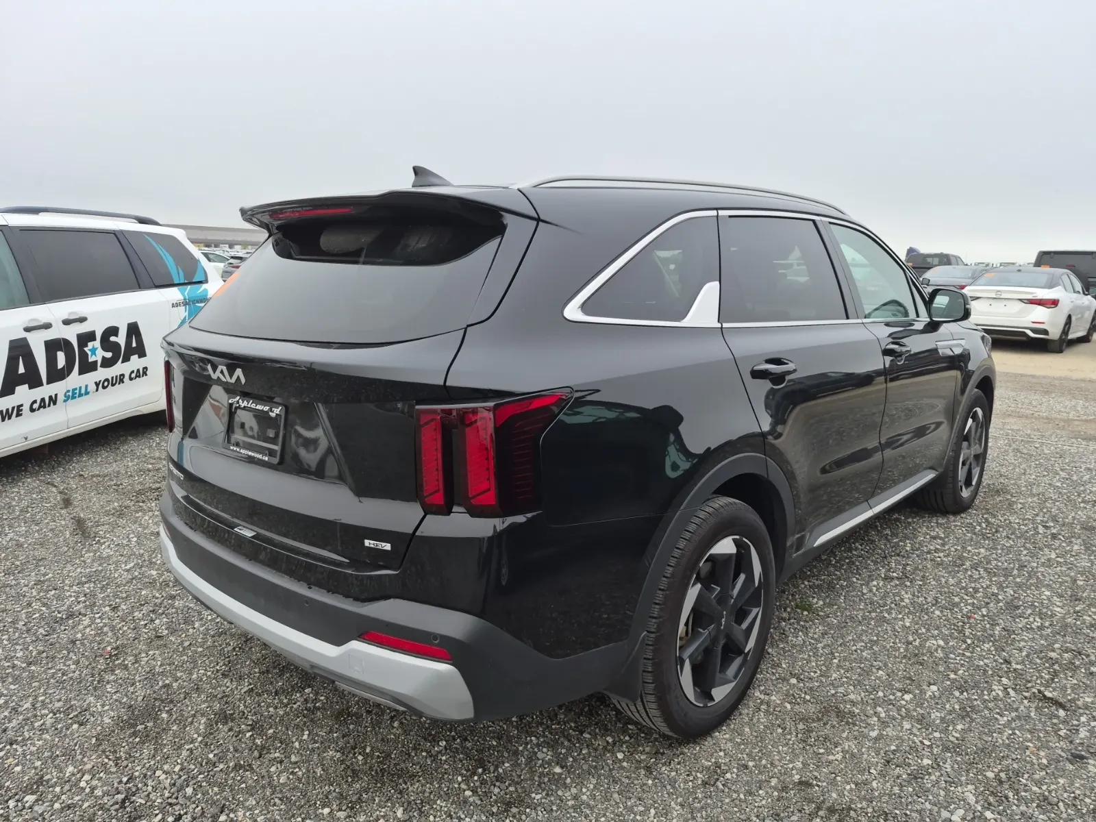Passenger Rear 3/4 Photo