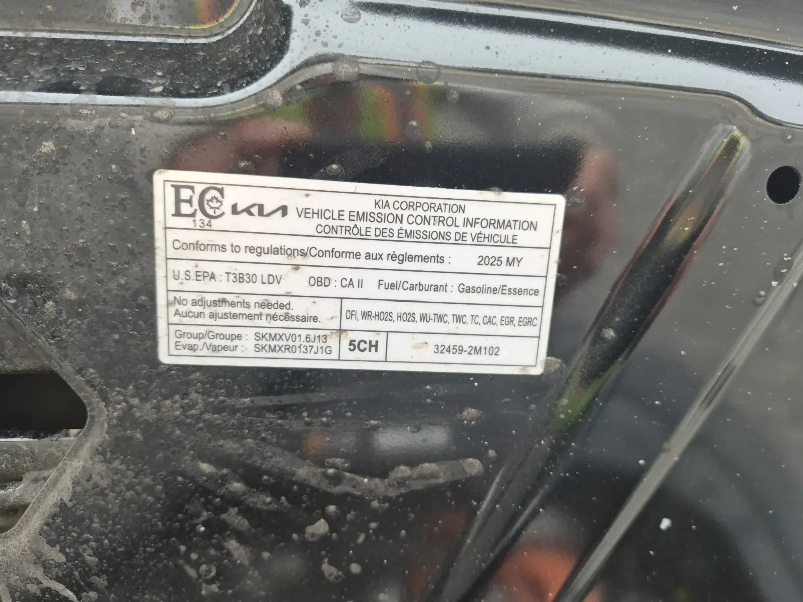 Emission Sticker Photo