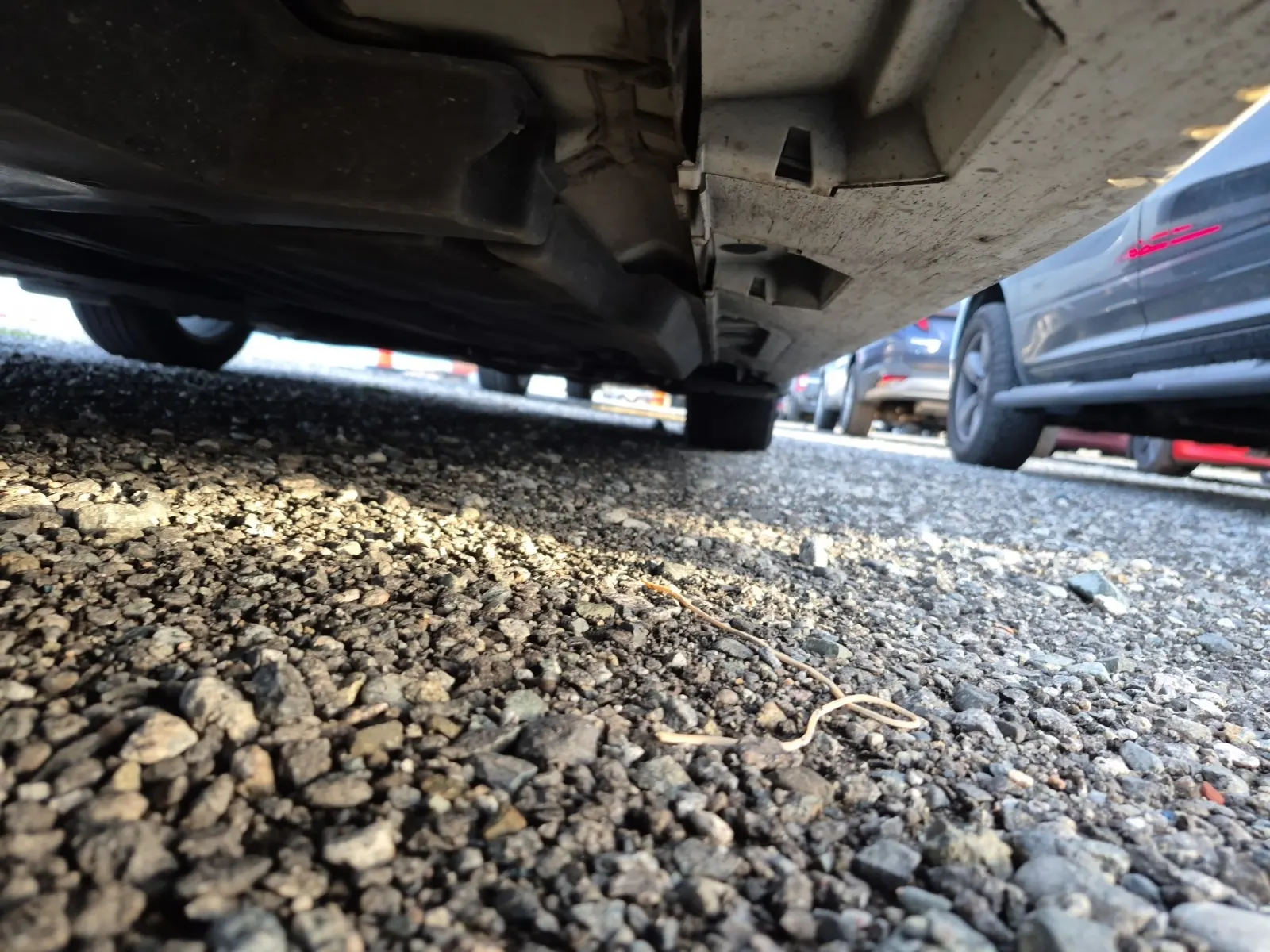 Undercarriage - Passenger Photo