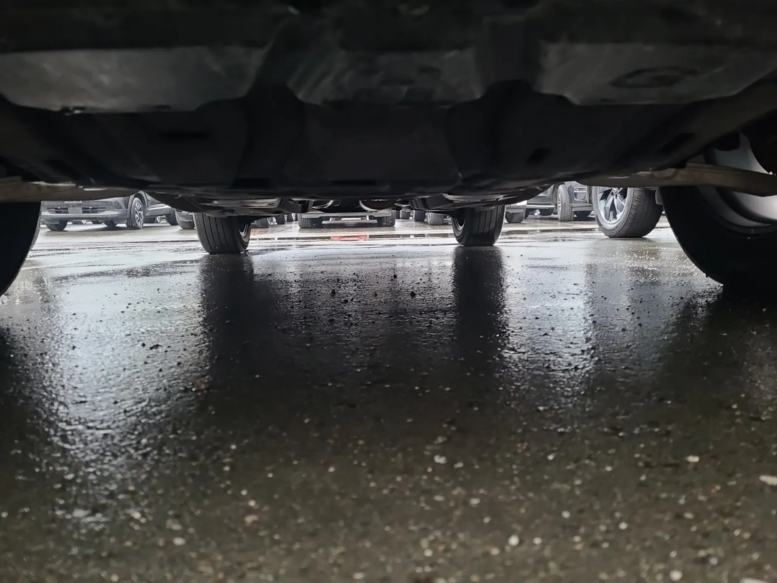 Undercarriage - Front Photo