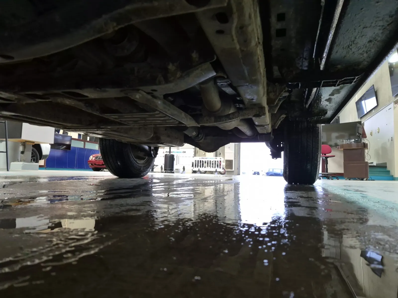 Undercarriage - Driver Photo
