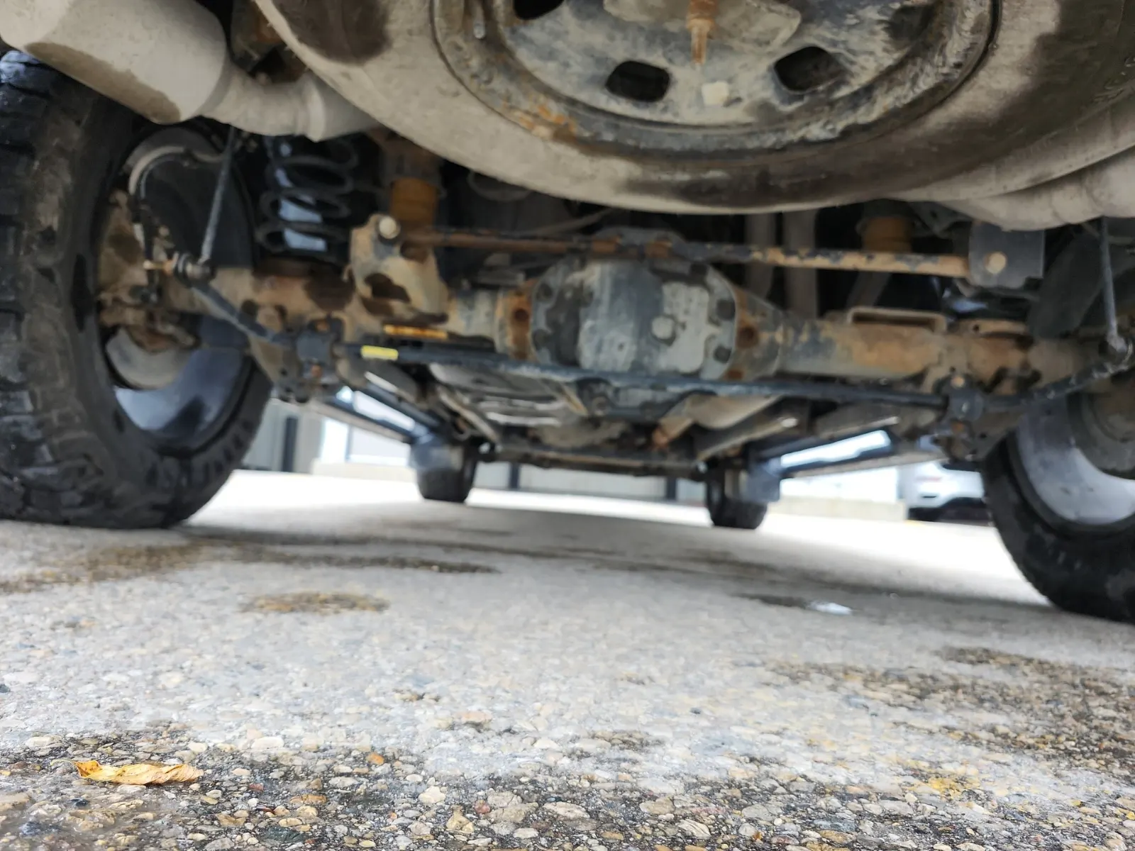 Undercarriage - Rear Photo