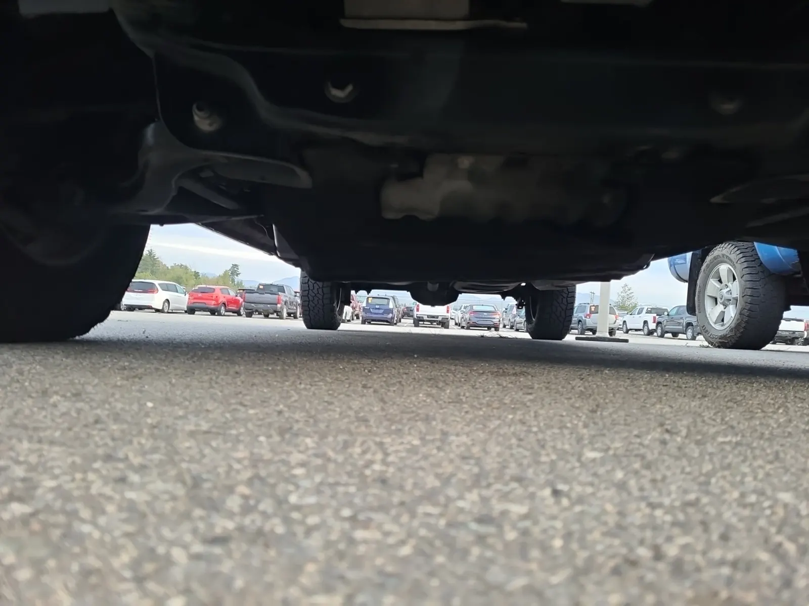 Undercarriage - Front Photo