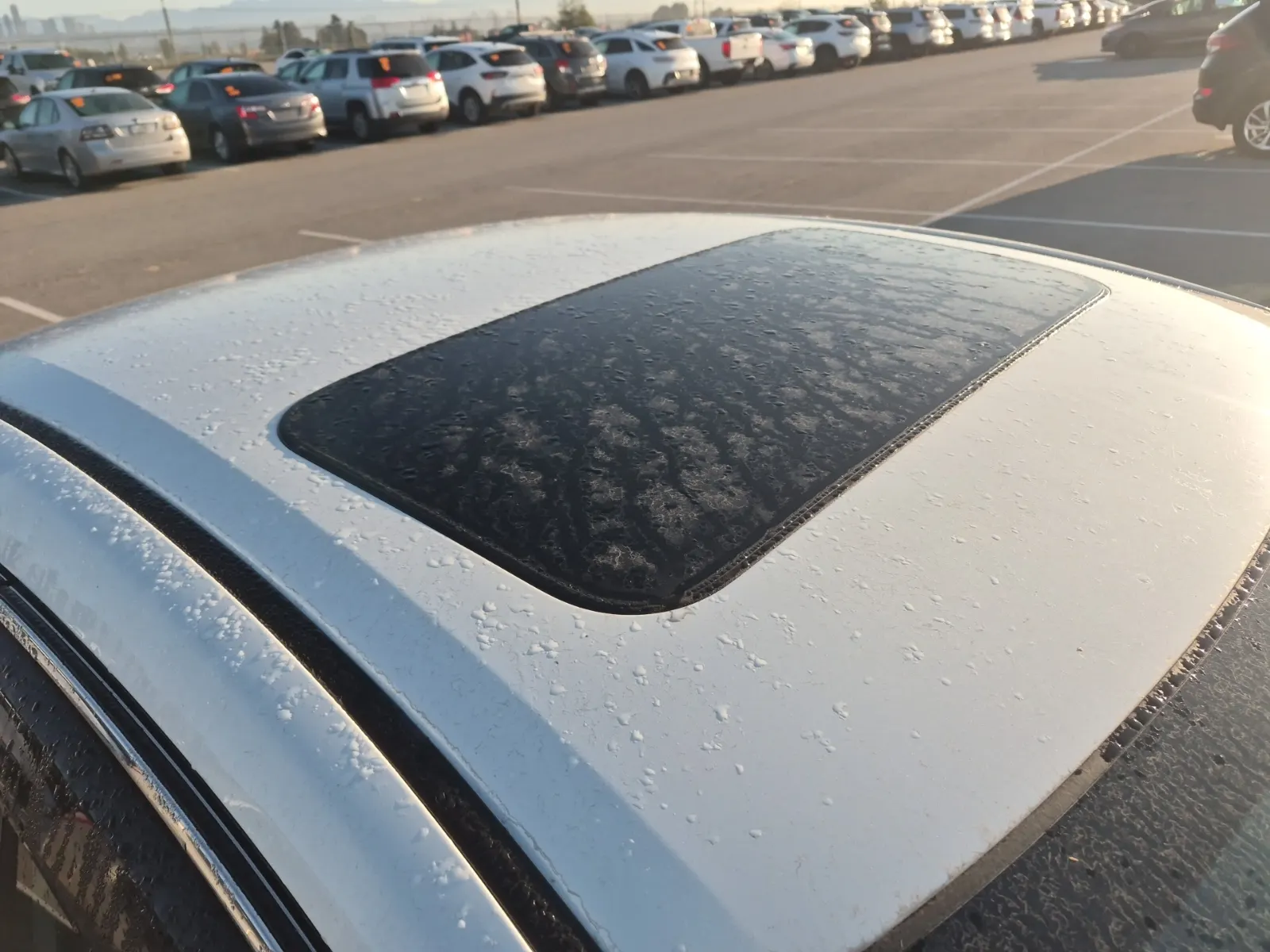 Exterior Roof Photo
