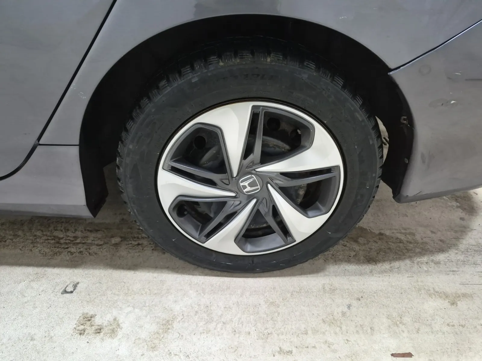 Left Rear Wheel/Tire Photo