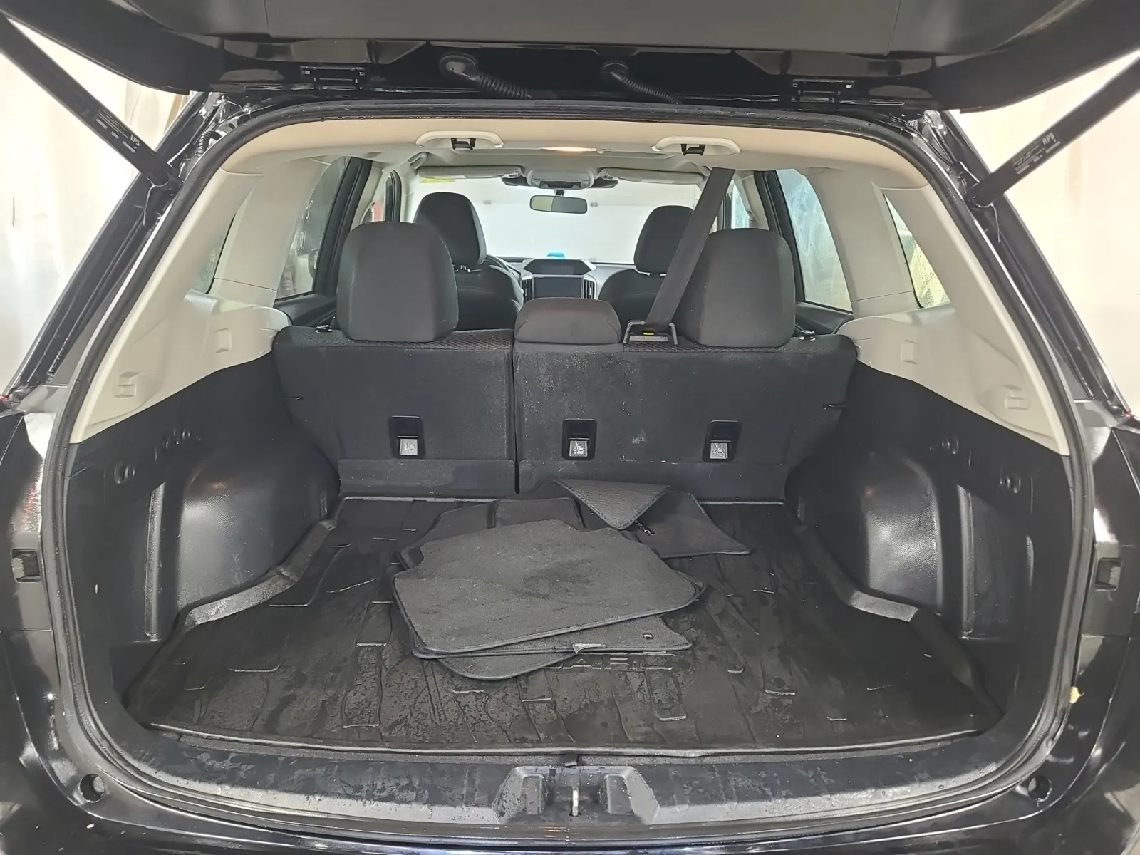 Cargo Area Photo