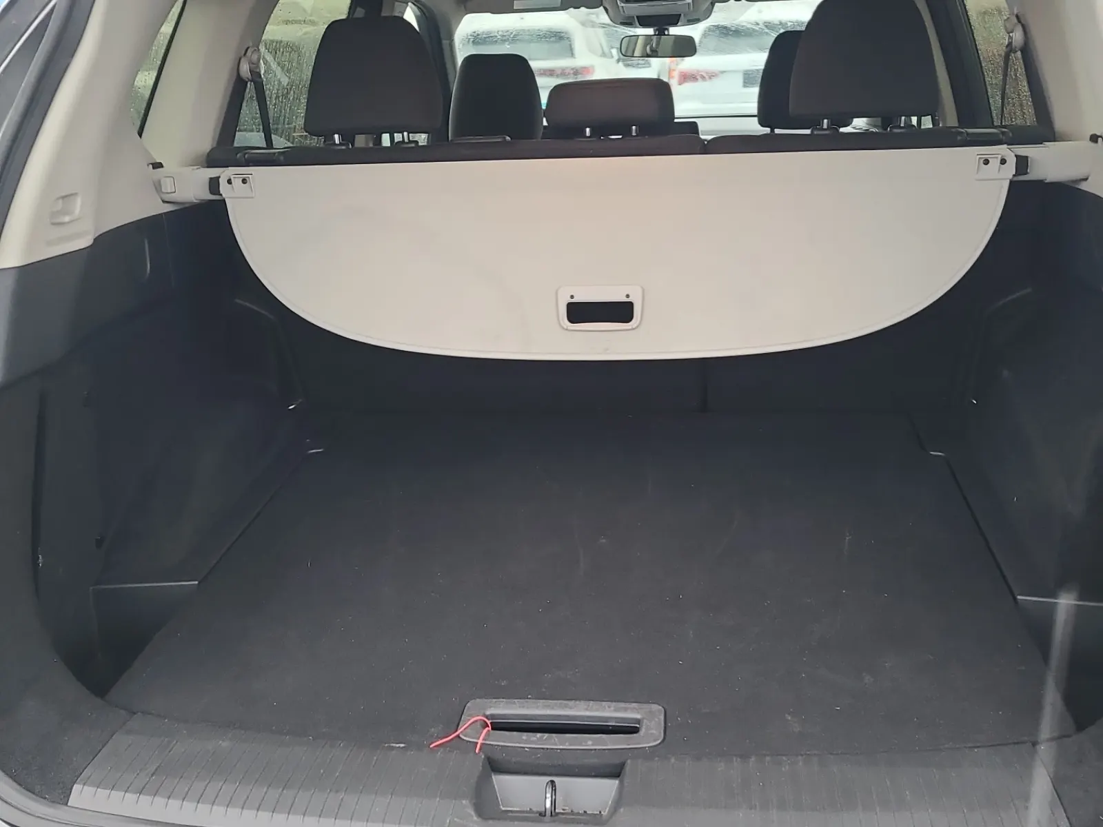 Cargo Area Photo